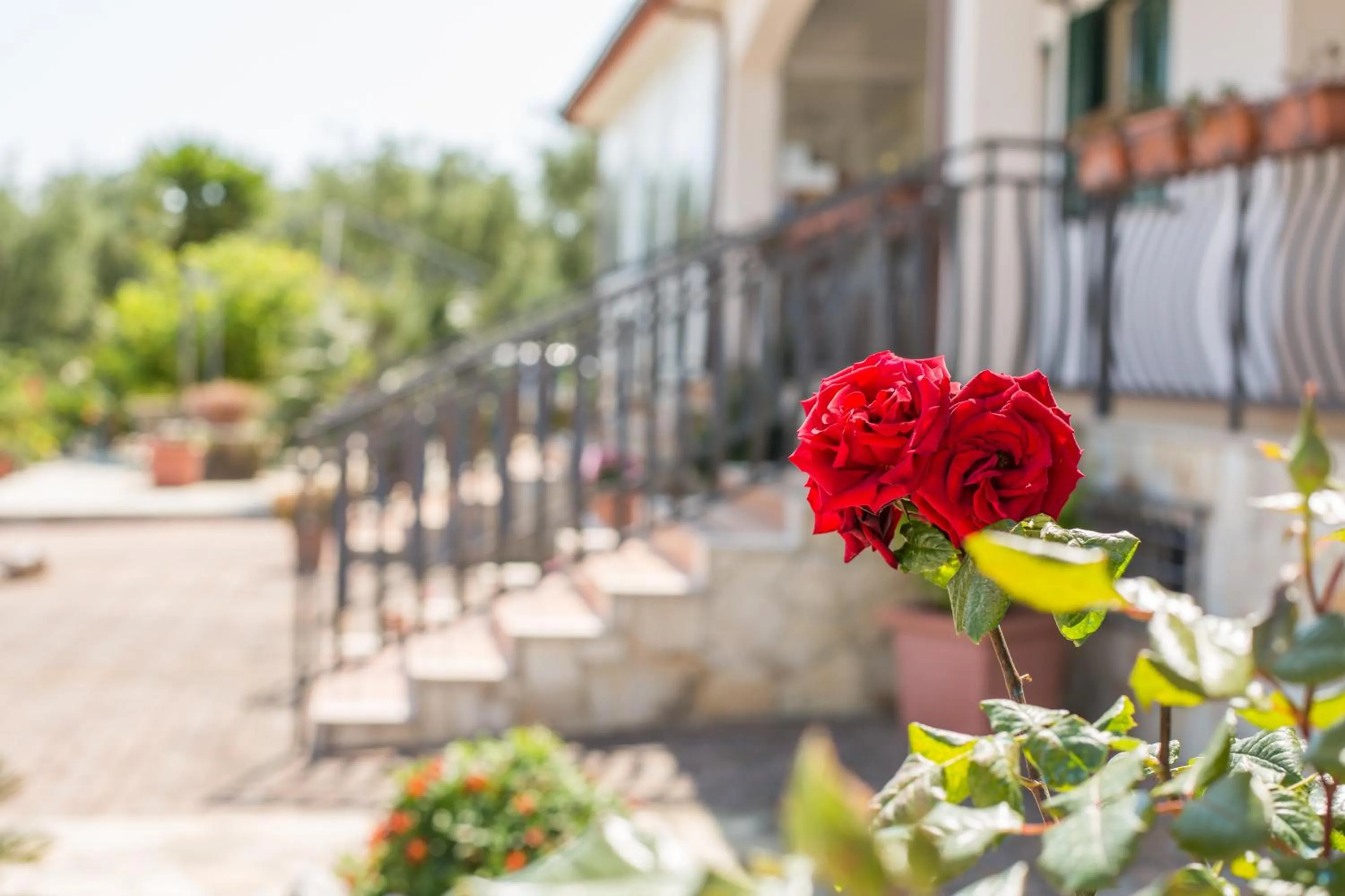 Spring in Villavesta Bed And Breakfast