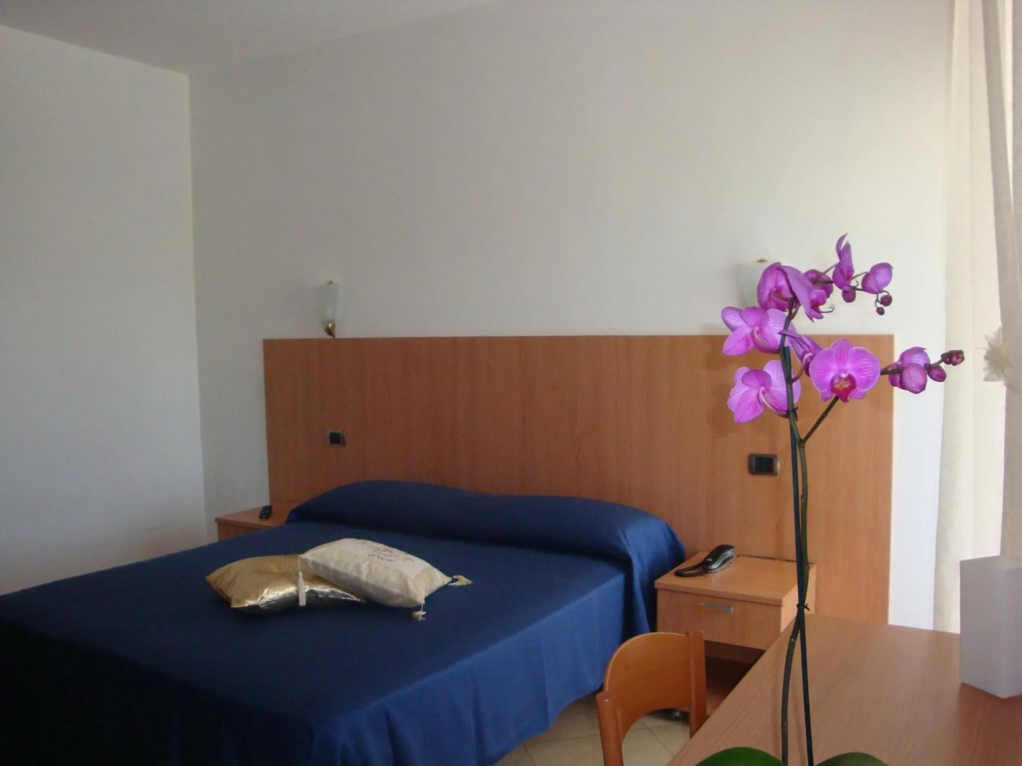Hotel Maggiore