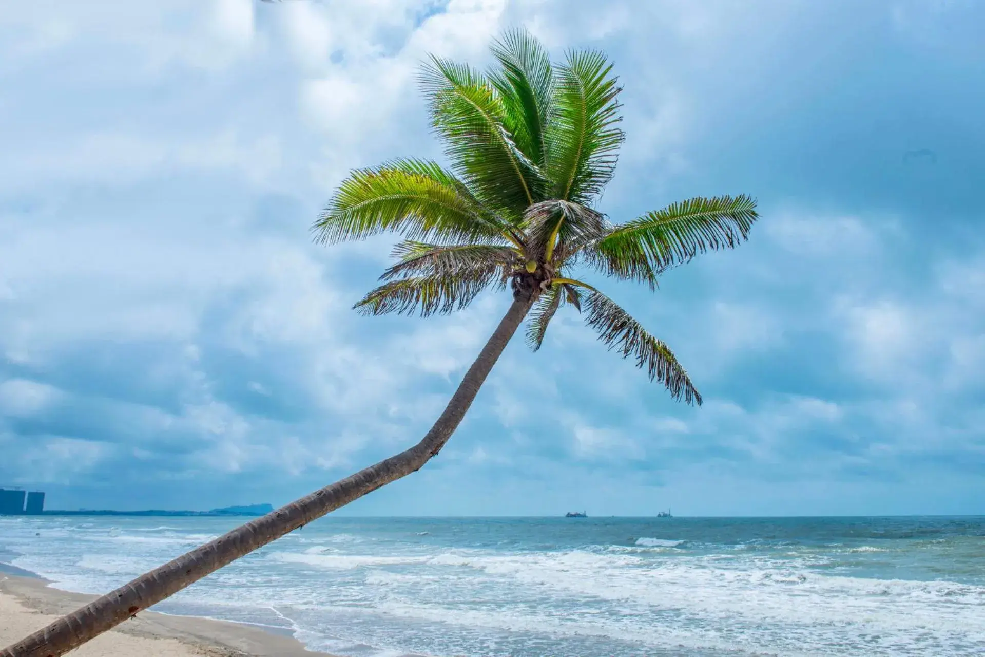 Four Points by Sheraton Wuchuan, Loong Bay Four Points by Sheraton Wuchuan, Loong Bay