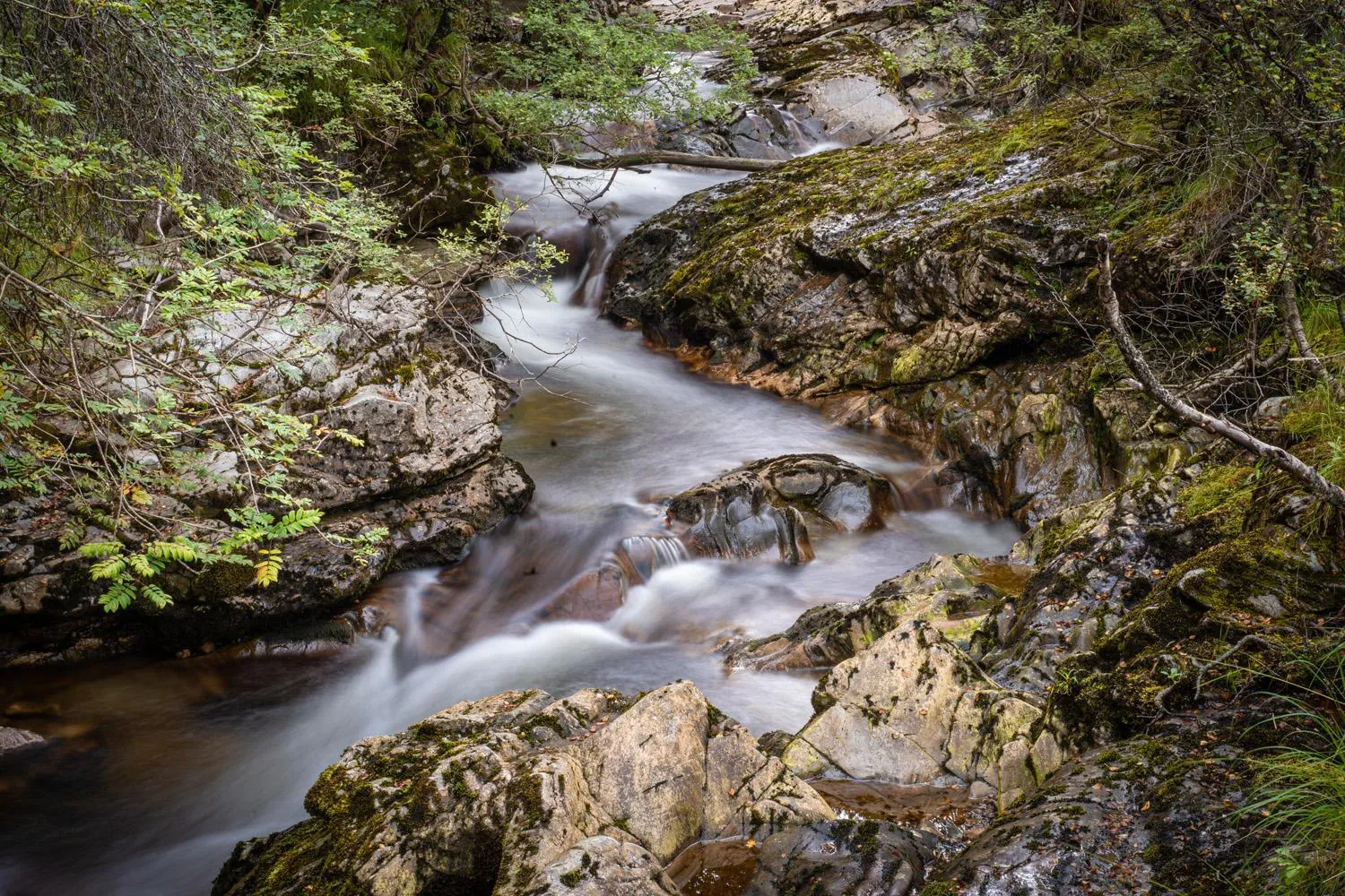Natural landscape in Crianlarich Youth Hostel