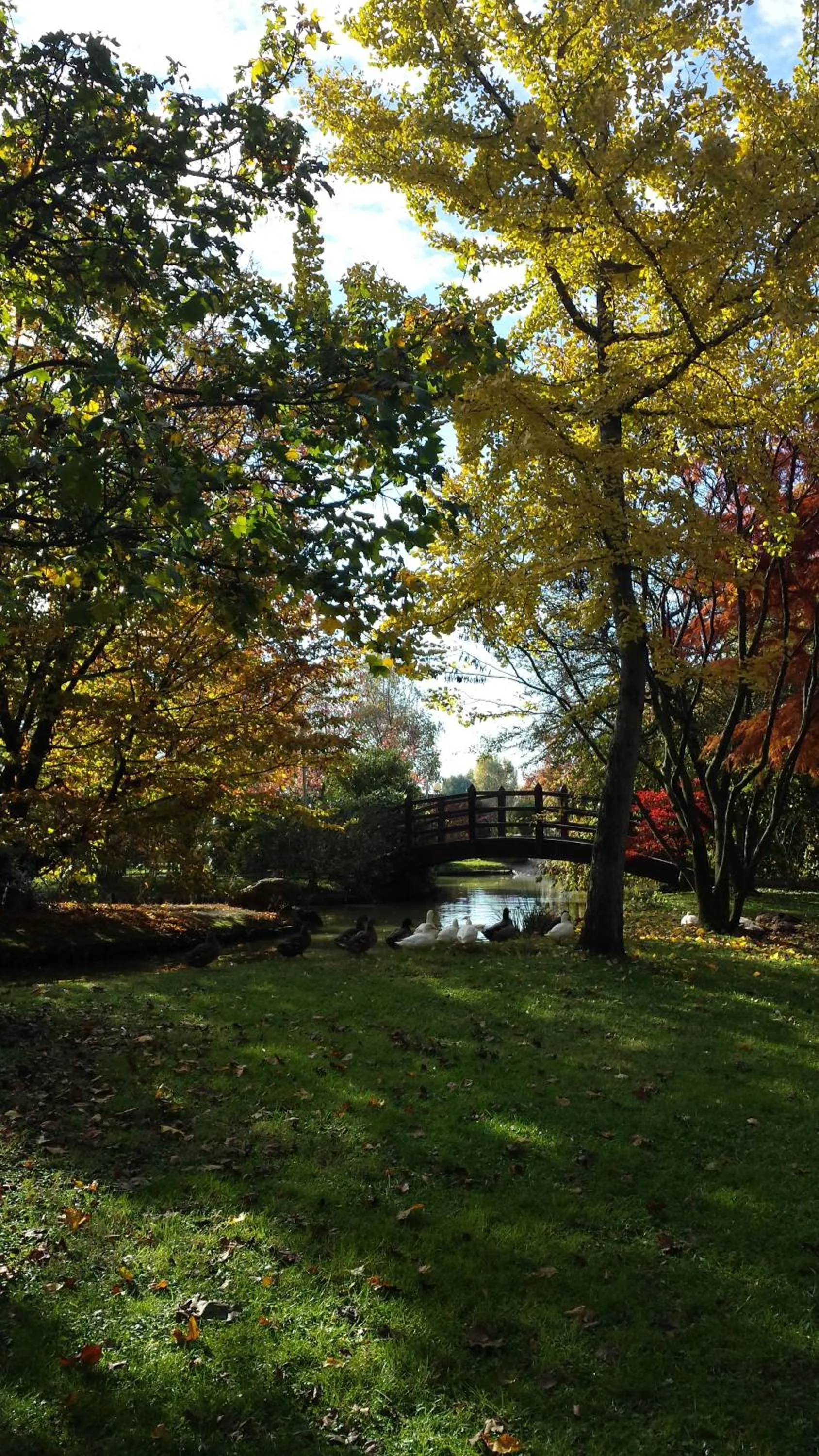 Day in Antica Postumia