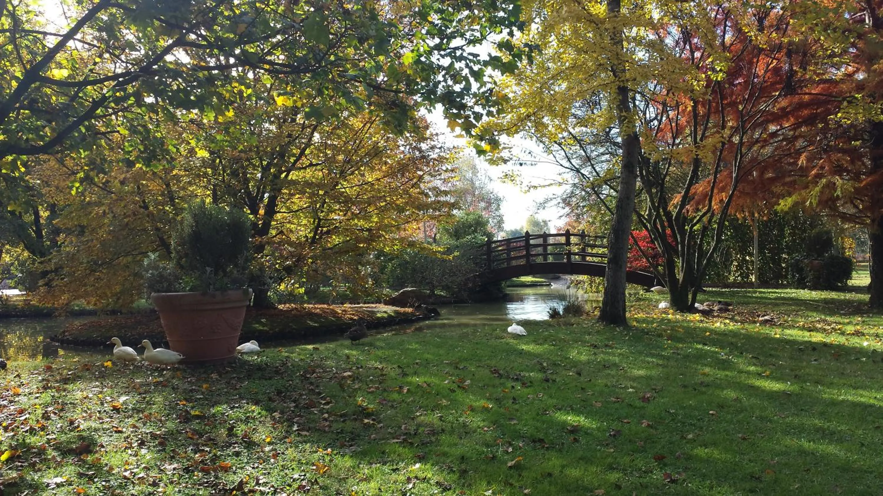 Day in Antica Postumia