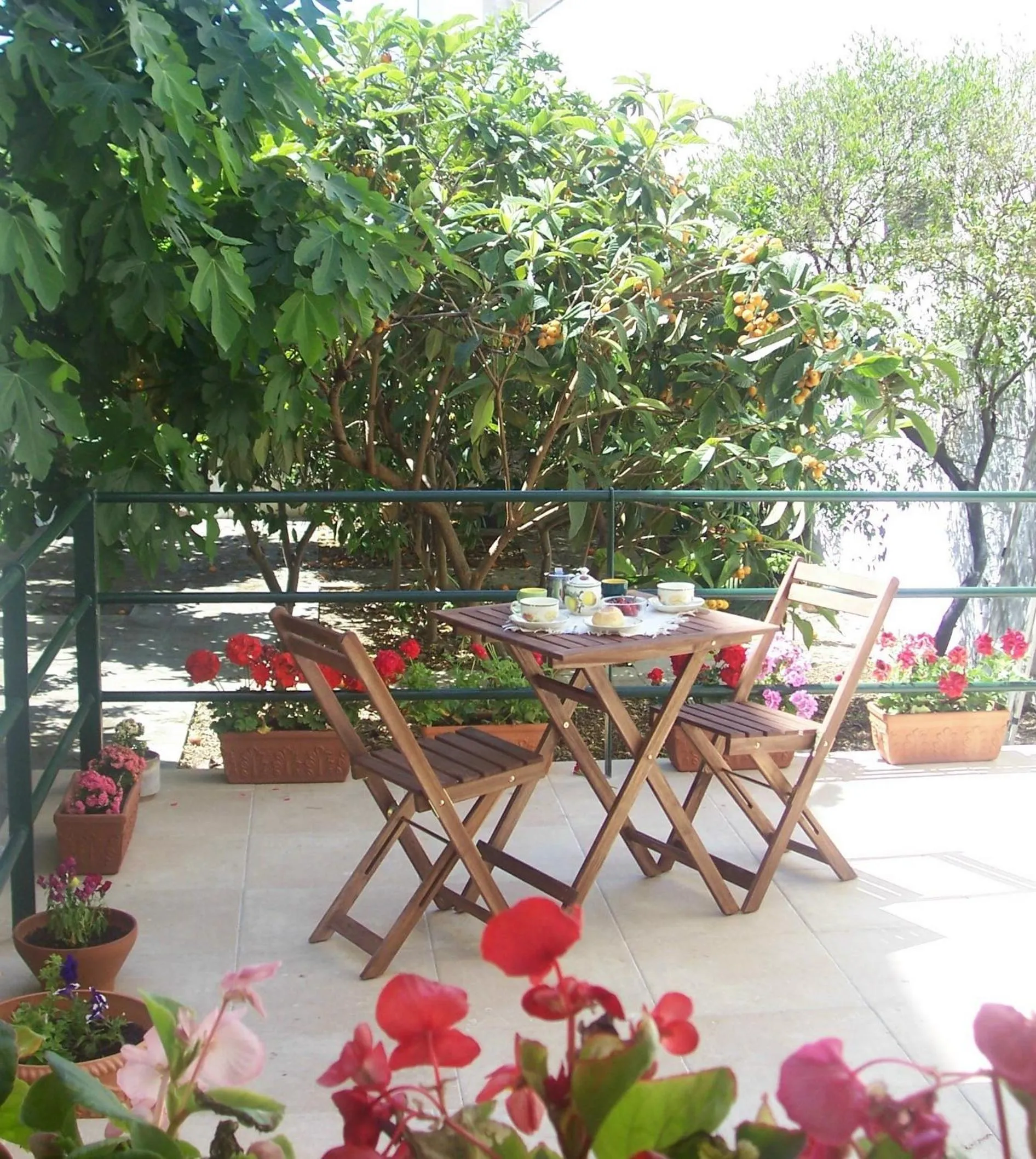 Garden in A casa di Nonna Rosa