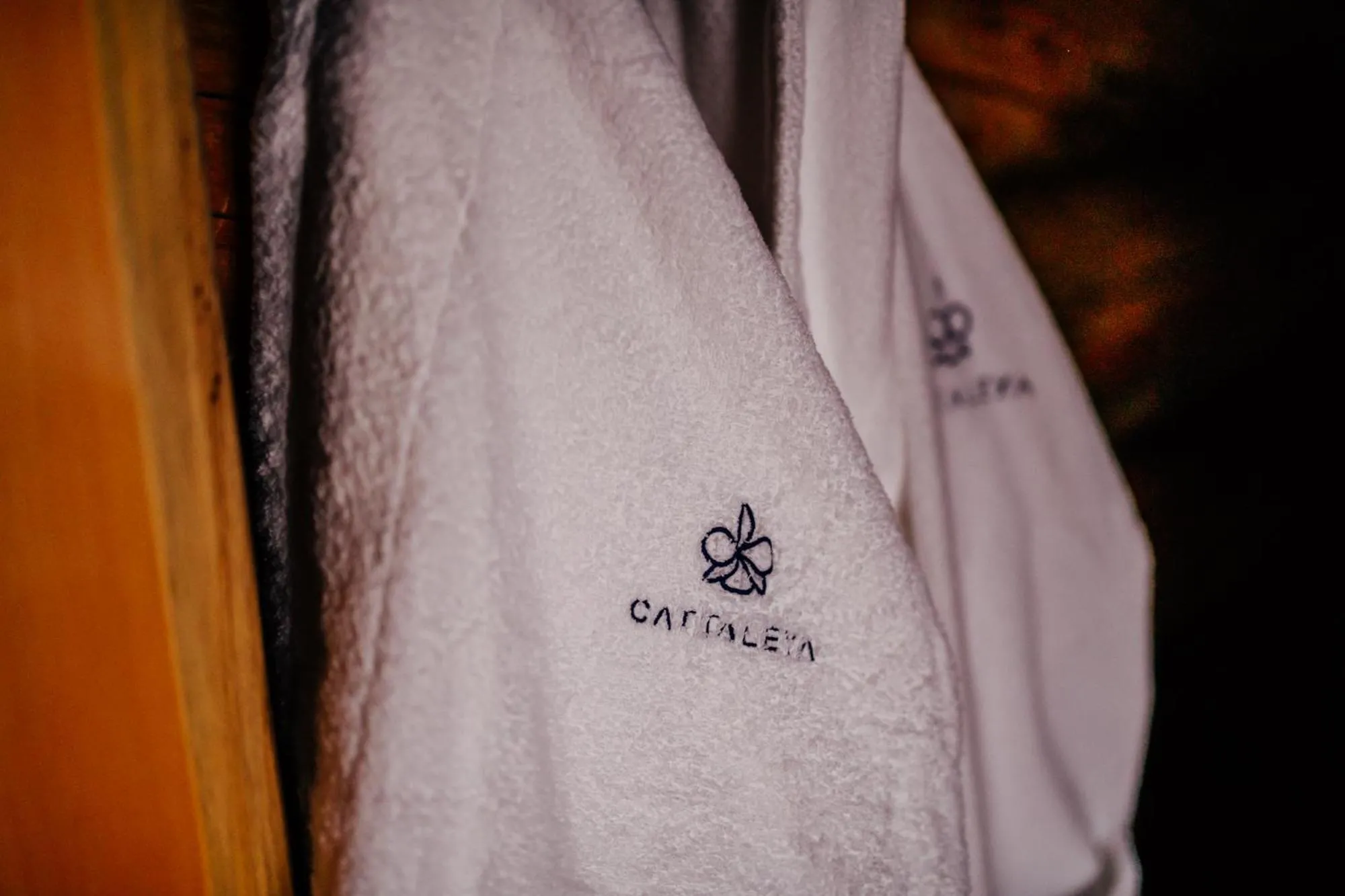 Property logo or sign in Resort CATTALEYA