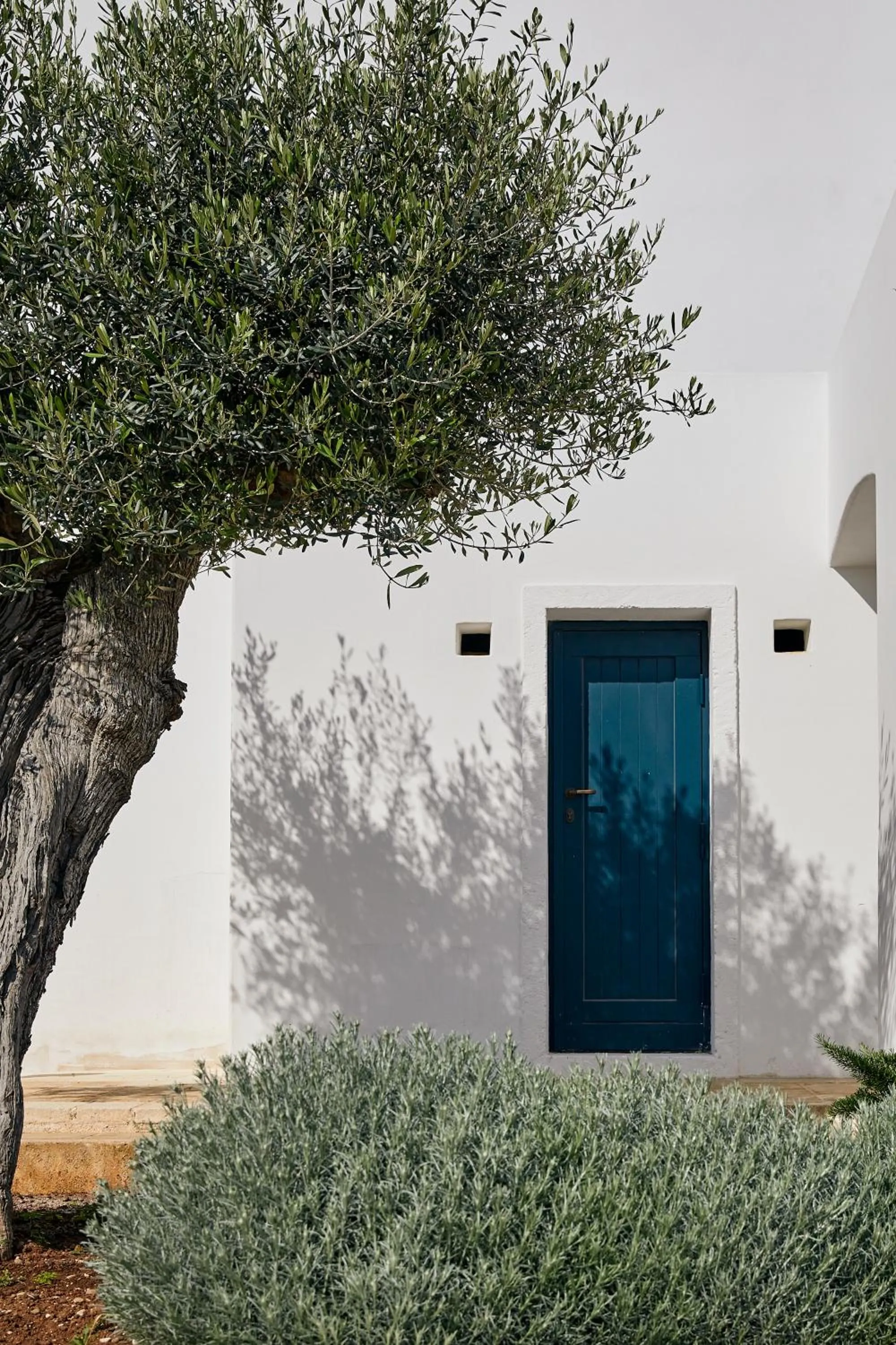 Garden view in Masseria Calderisi