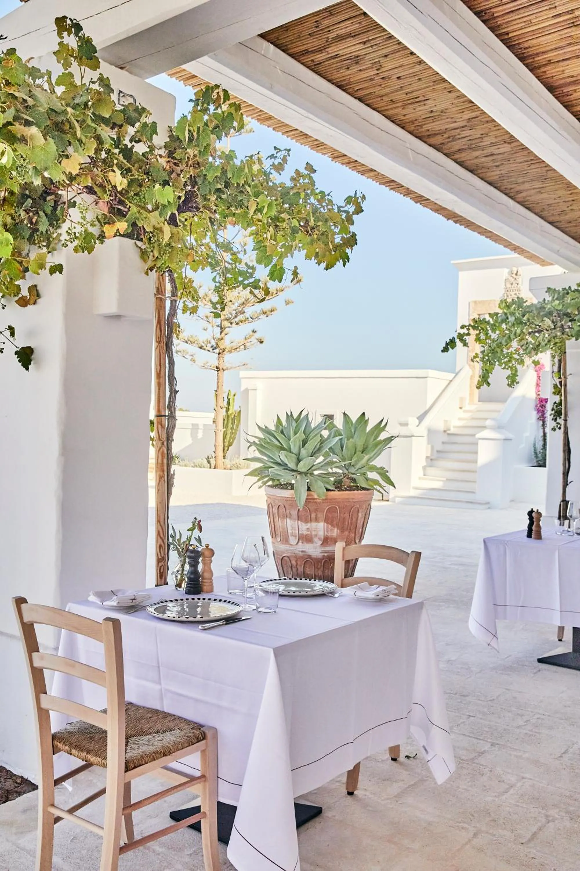 Restaurant/places to eat in Masseria Calderisi