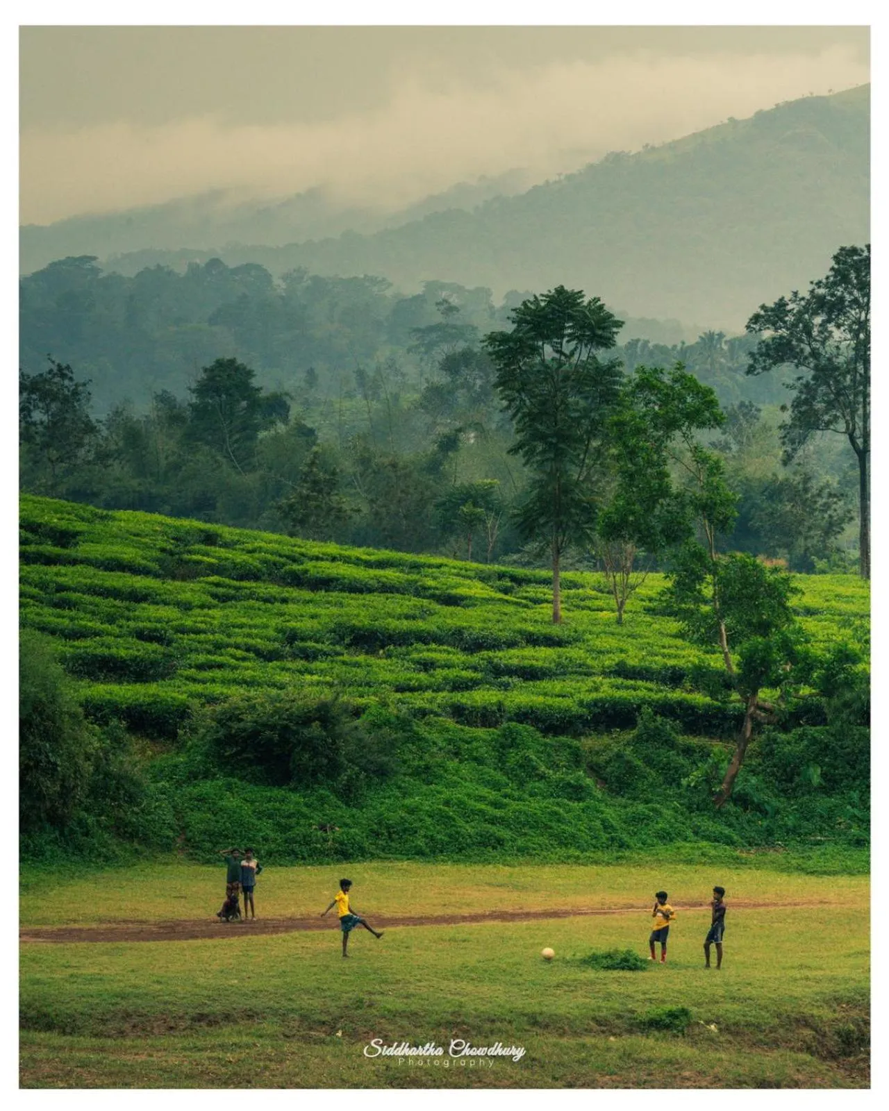 Natural landscape in Grassroots Wayanad, Valley-view Tents