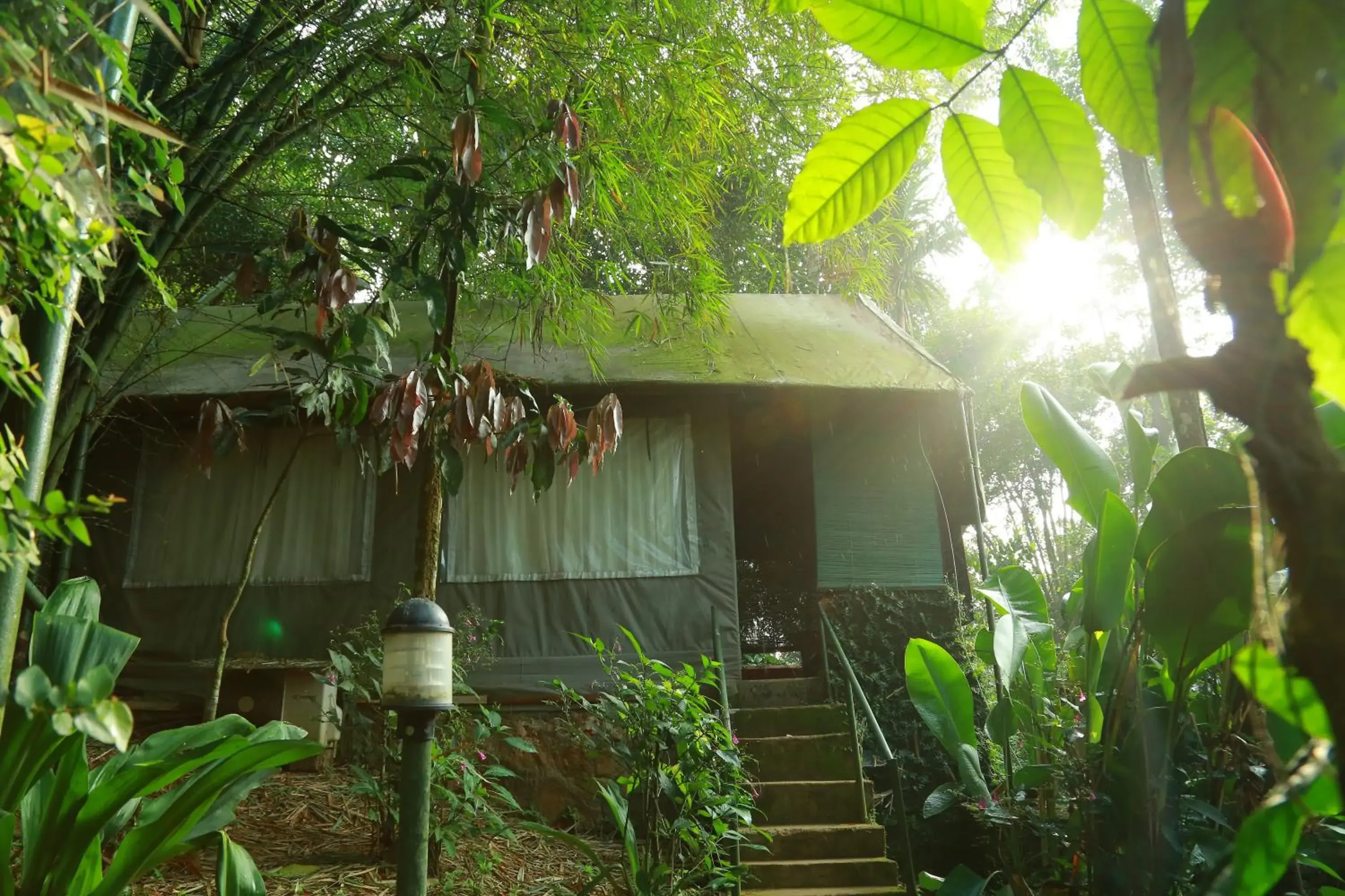 Bedroom in Grassroots Wayanad, Valley-view Tents Bedroom in Grassroots Wayanad, Valley-view Tents