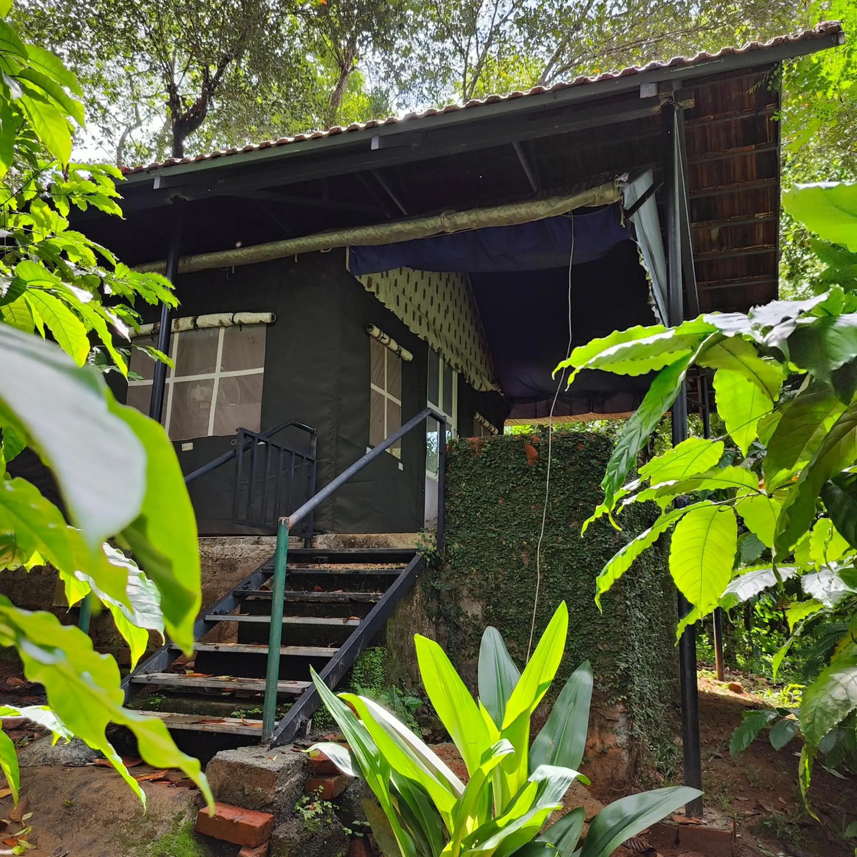 Property building in Grassroots Wayanad, Valley-view Tents Property building in Grassroots Wayanad, Valley-view Tents