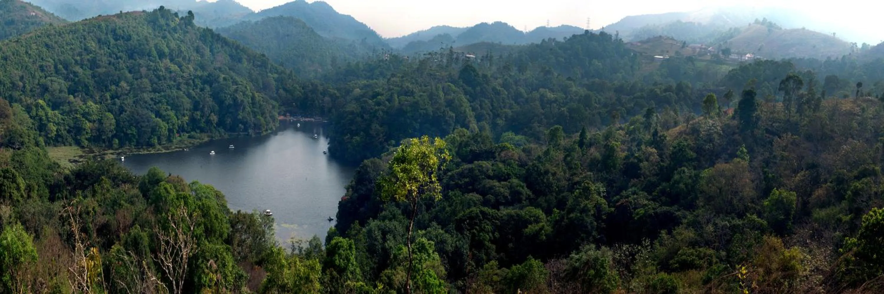Neighbourhood in Grassroots Wayanad, Valley-view Tents
