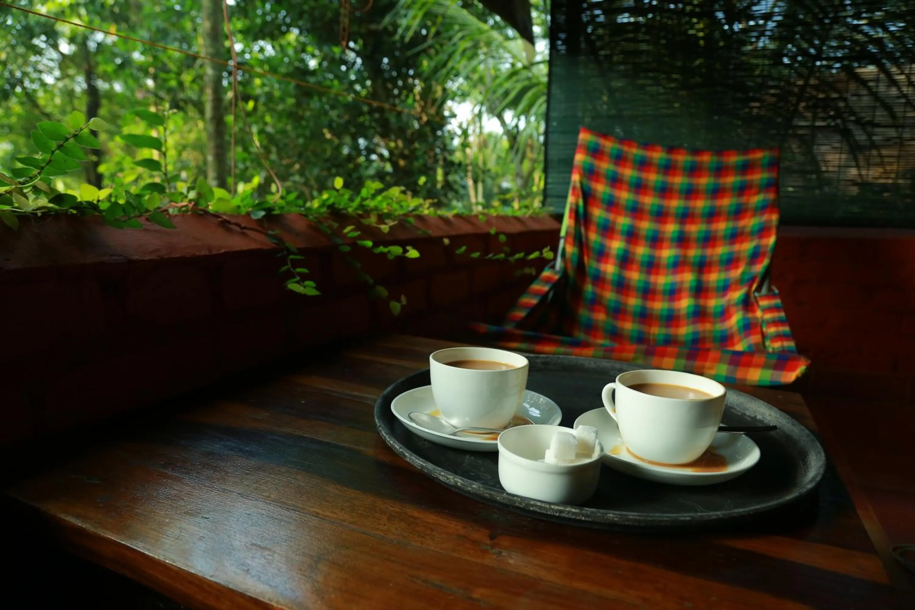 Seating area in Grassroots Wayanad, Valley-view Tents