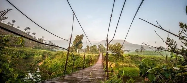 Natural landscape in Grassroots Wayanad, Valley-view Tents