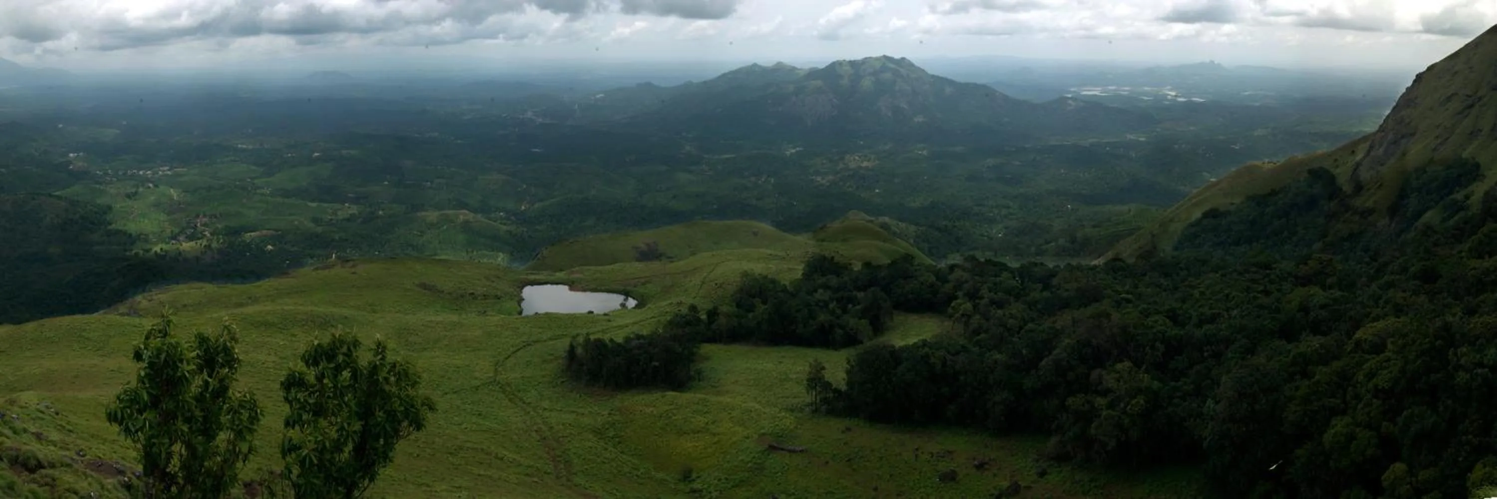 Neighbourhood in Grassroots Wayanad, Valley-view Tents