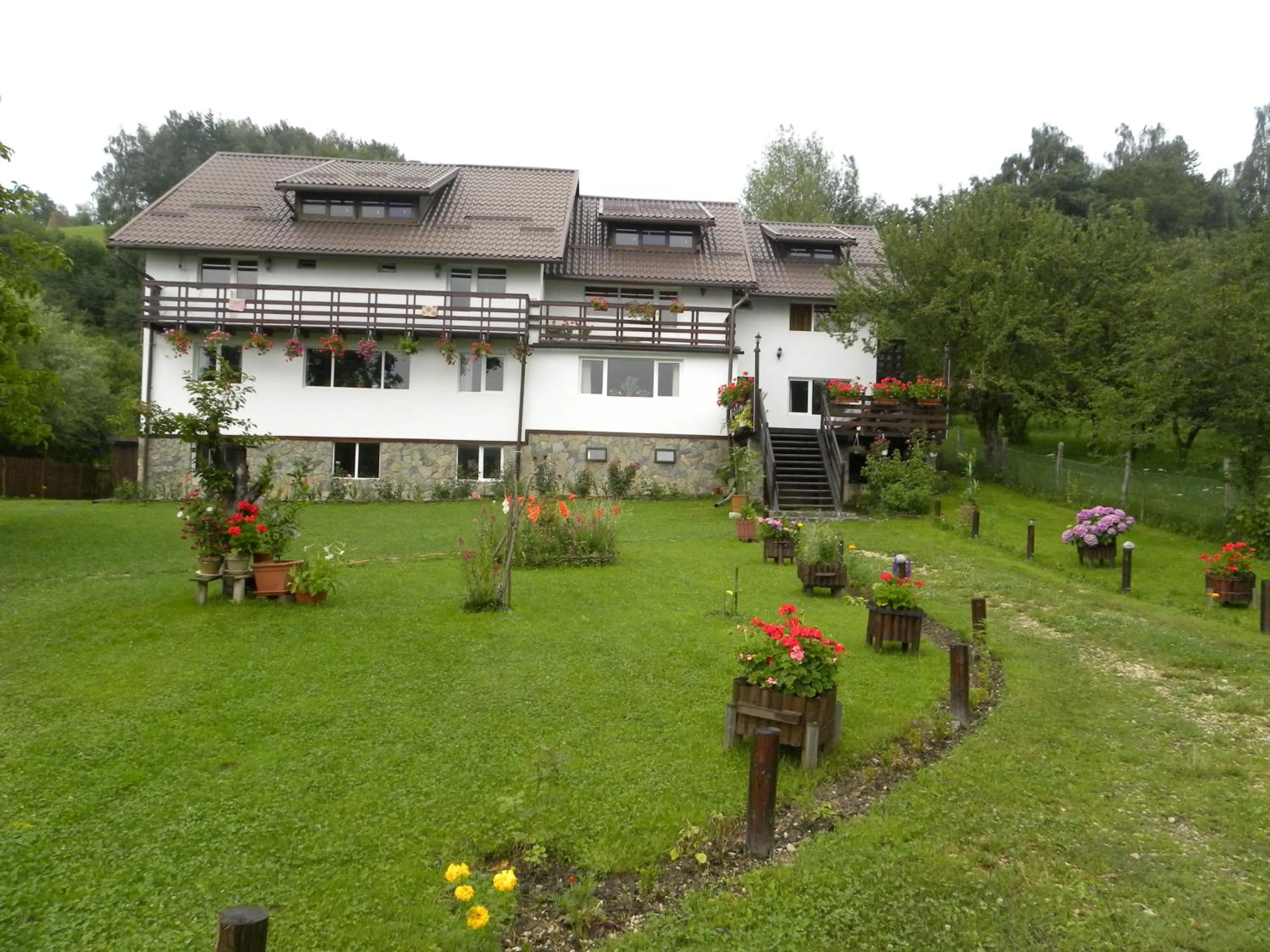 Pensiunea Cerbul Carpatin