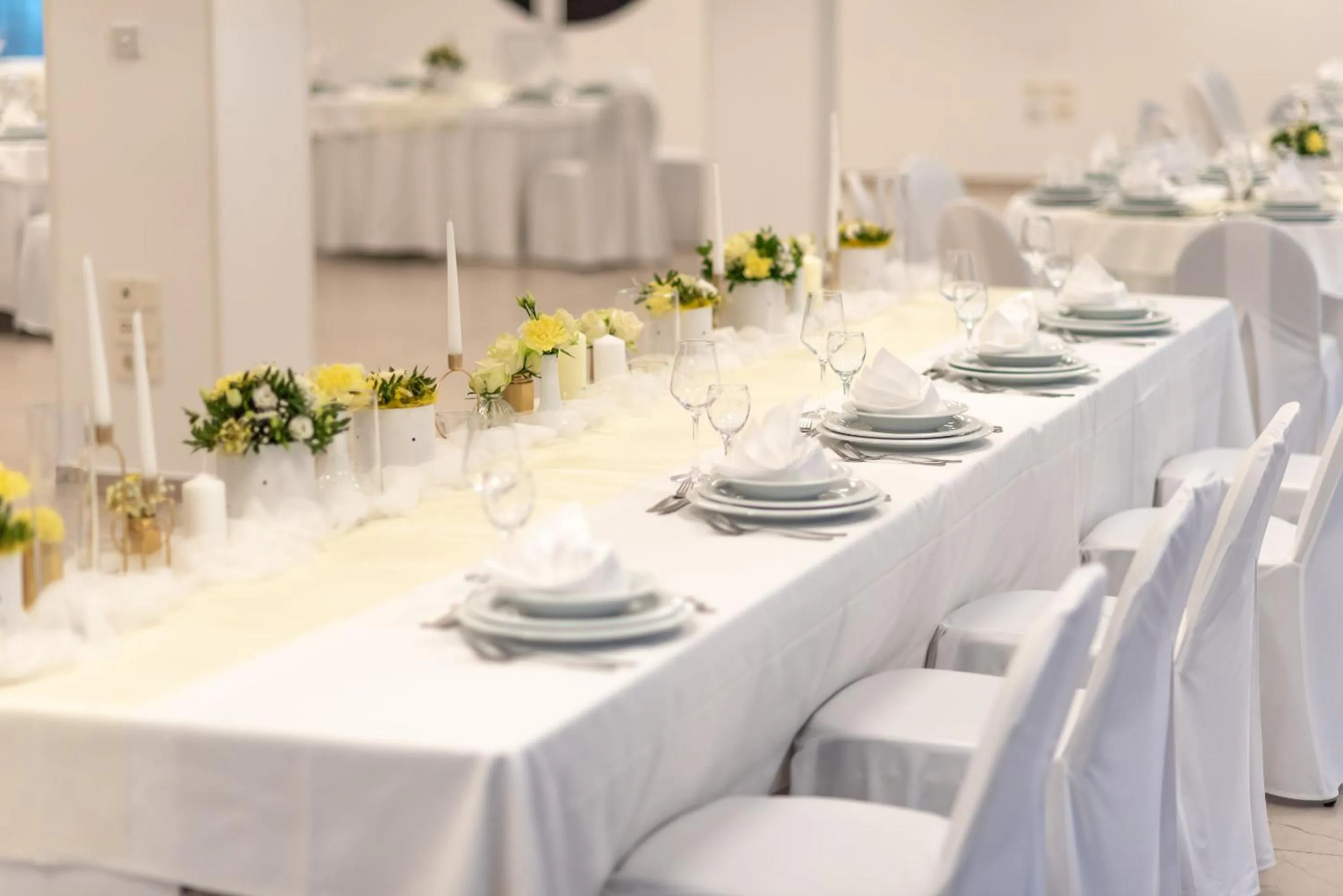 wedding in Hotel Park