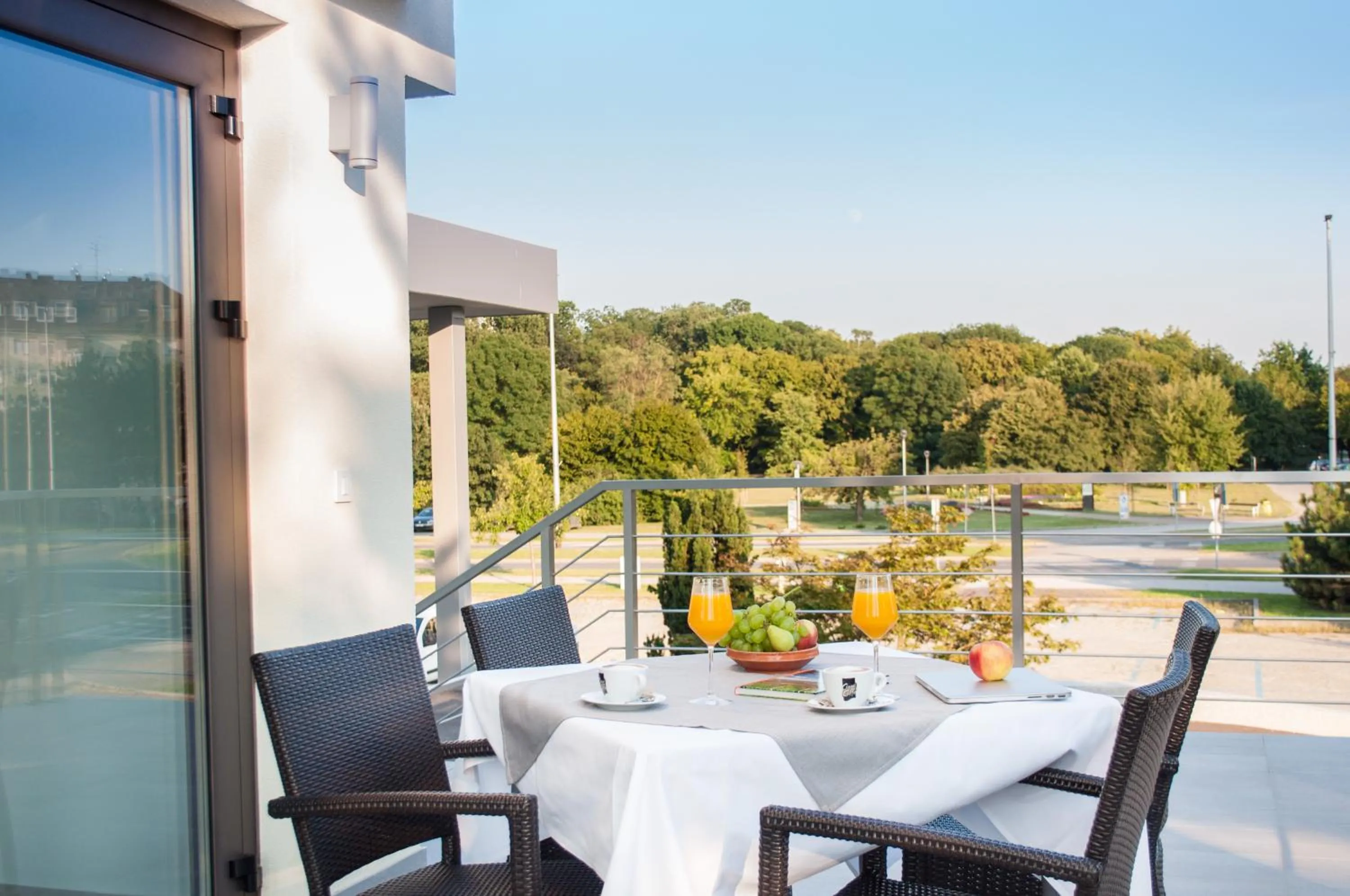 Balcony/Terrace in Hotel Park