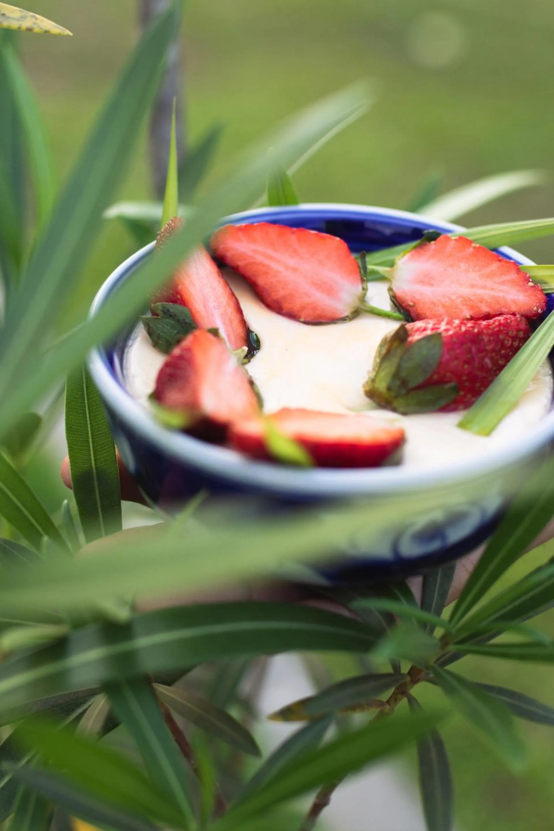 Food and drinks in Khla Lodge