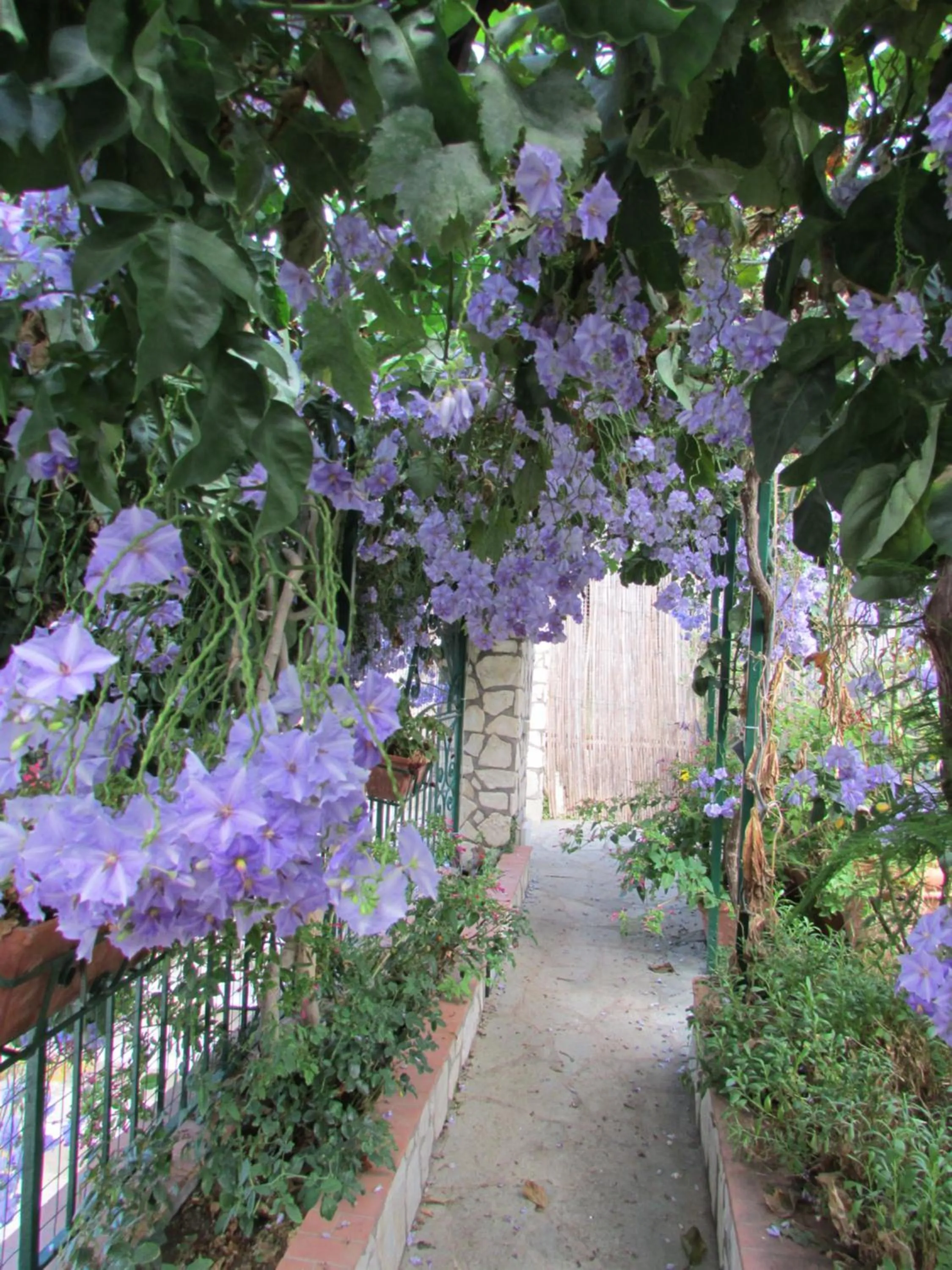 Spring in Casa Palazzo a Mare