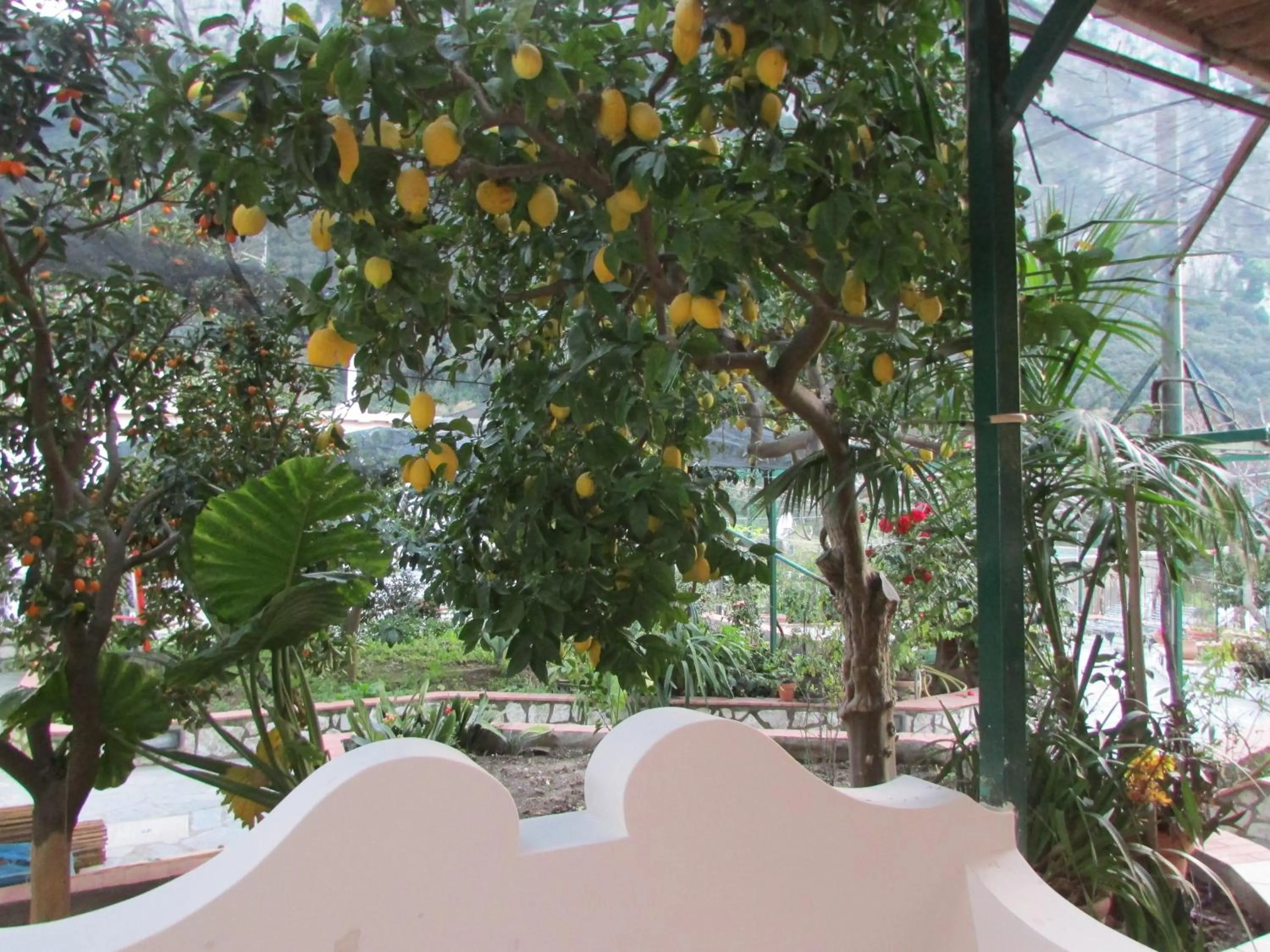 Garden in Casa Palazzo a Mare