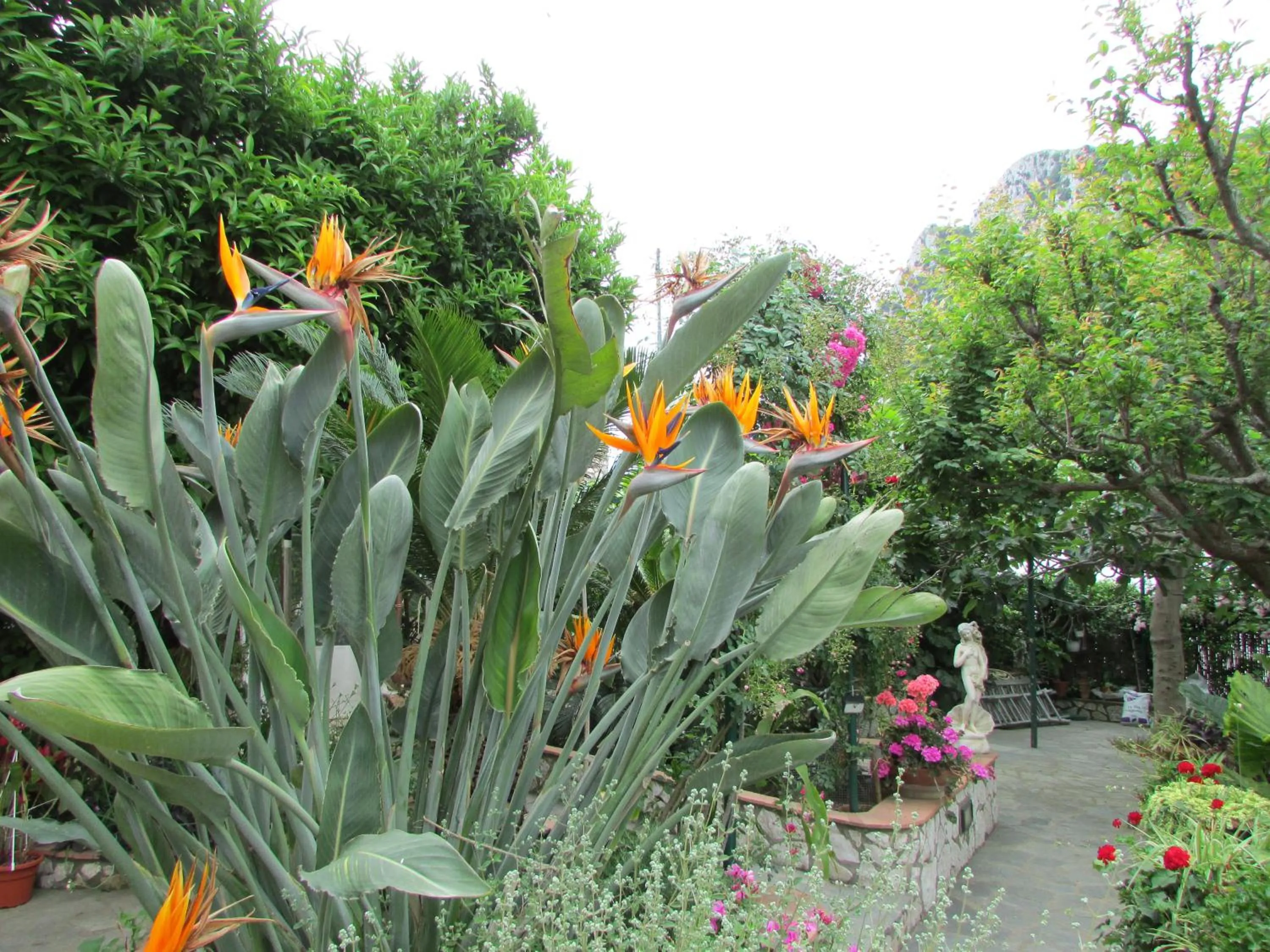 Spring in Casa Palazzo a Mare