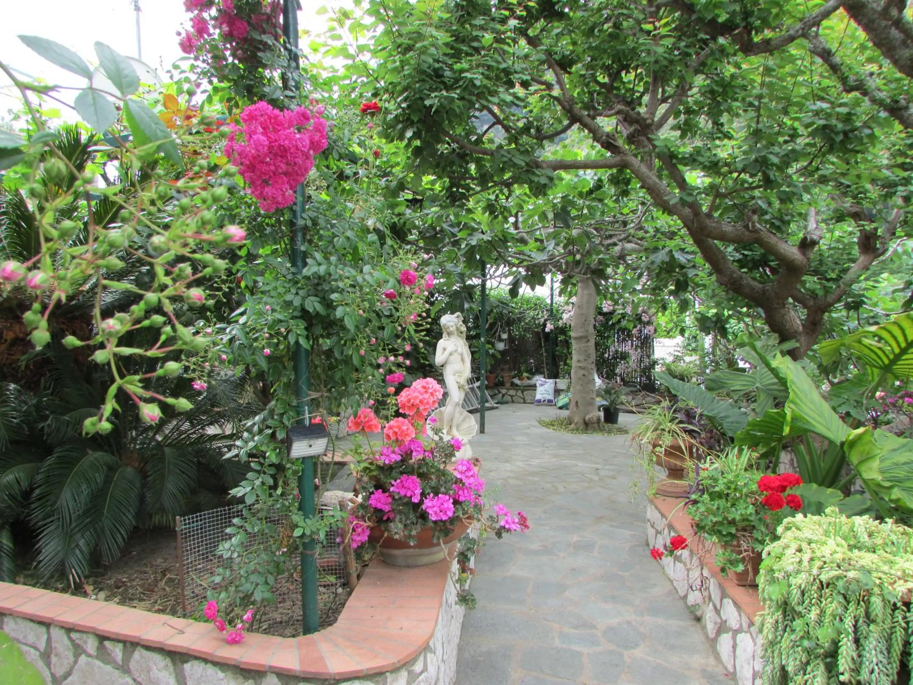 Spring in Casa Palazzo a Mare