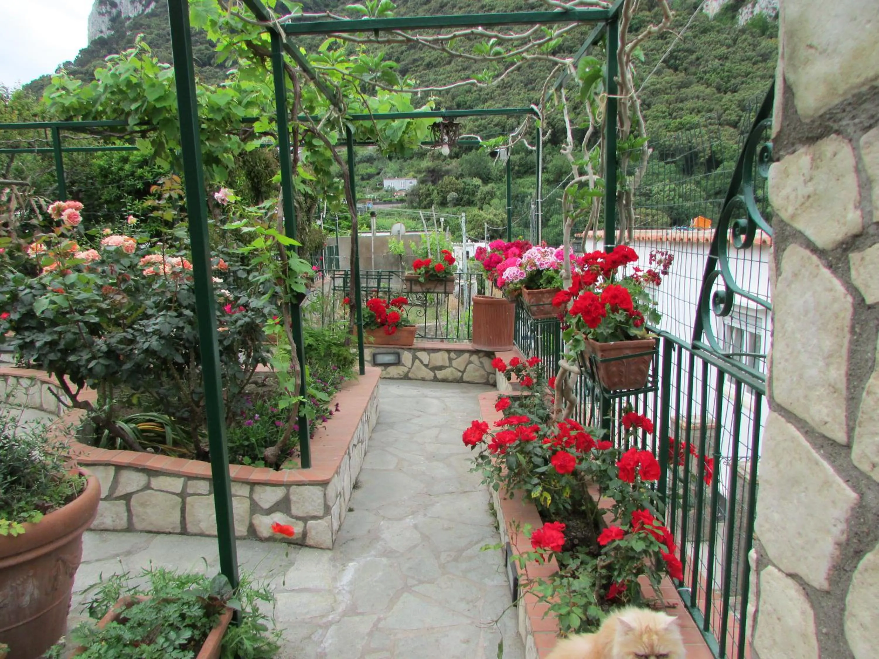 Patio in Casa Palazzo a Mare