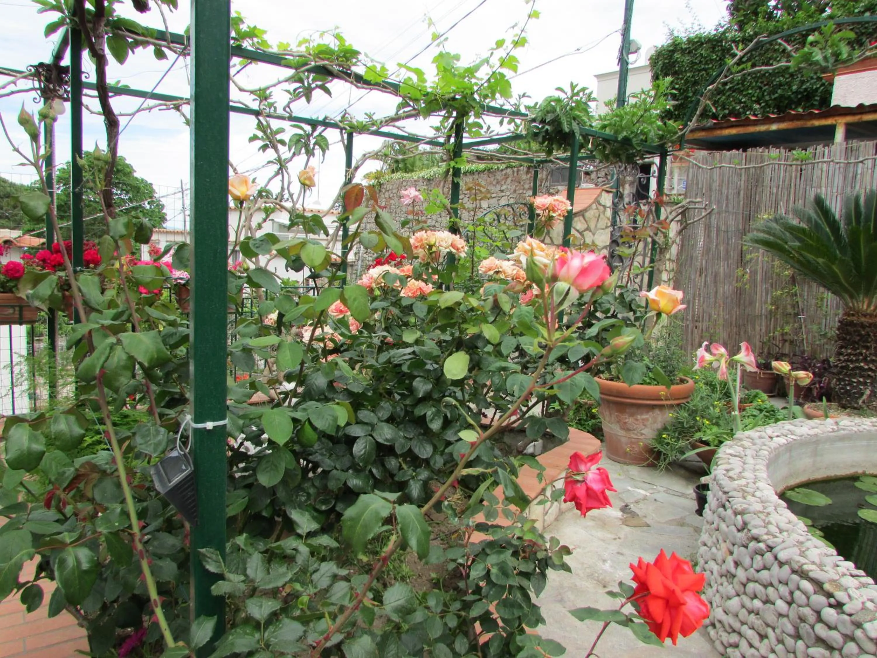 Spring in Casa Palazzo a Mare