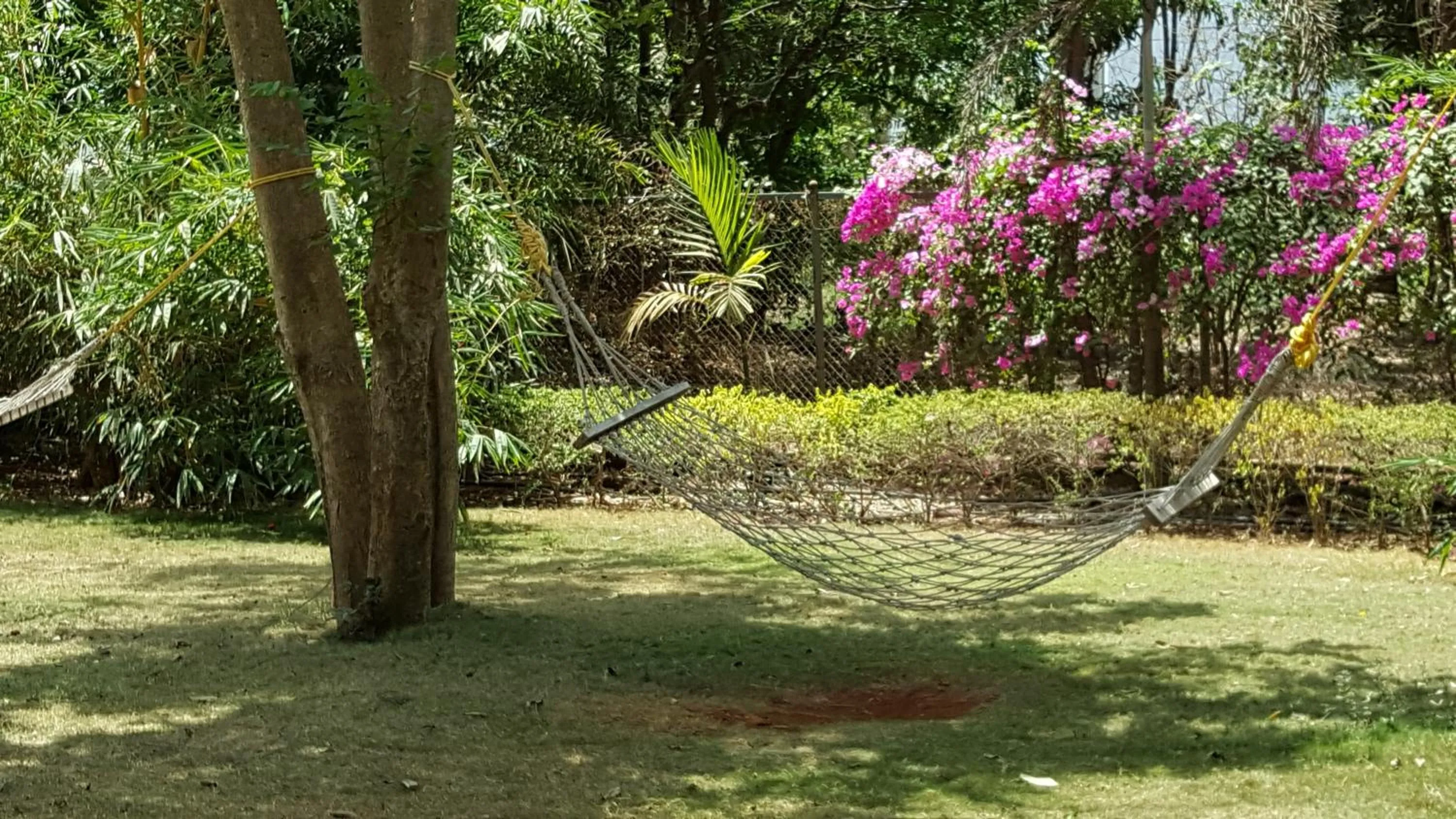 Garden in Tropicana Resort & Spa Alibaug, A Club Mahindra Associate