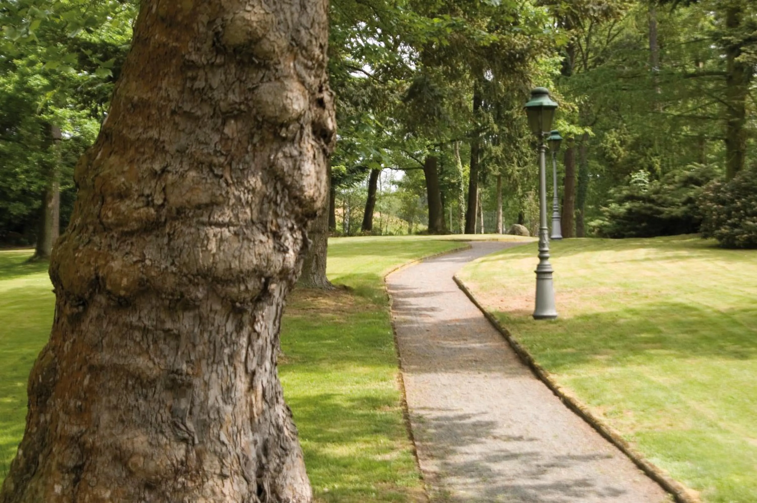 Natural landscape in Gut Altona