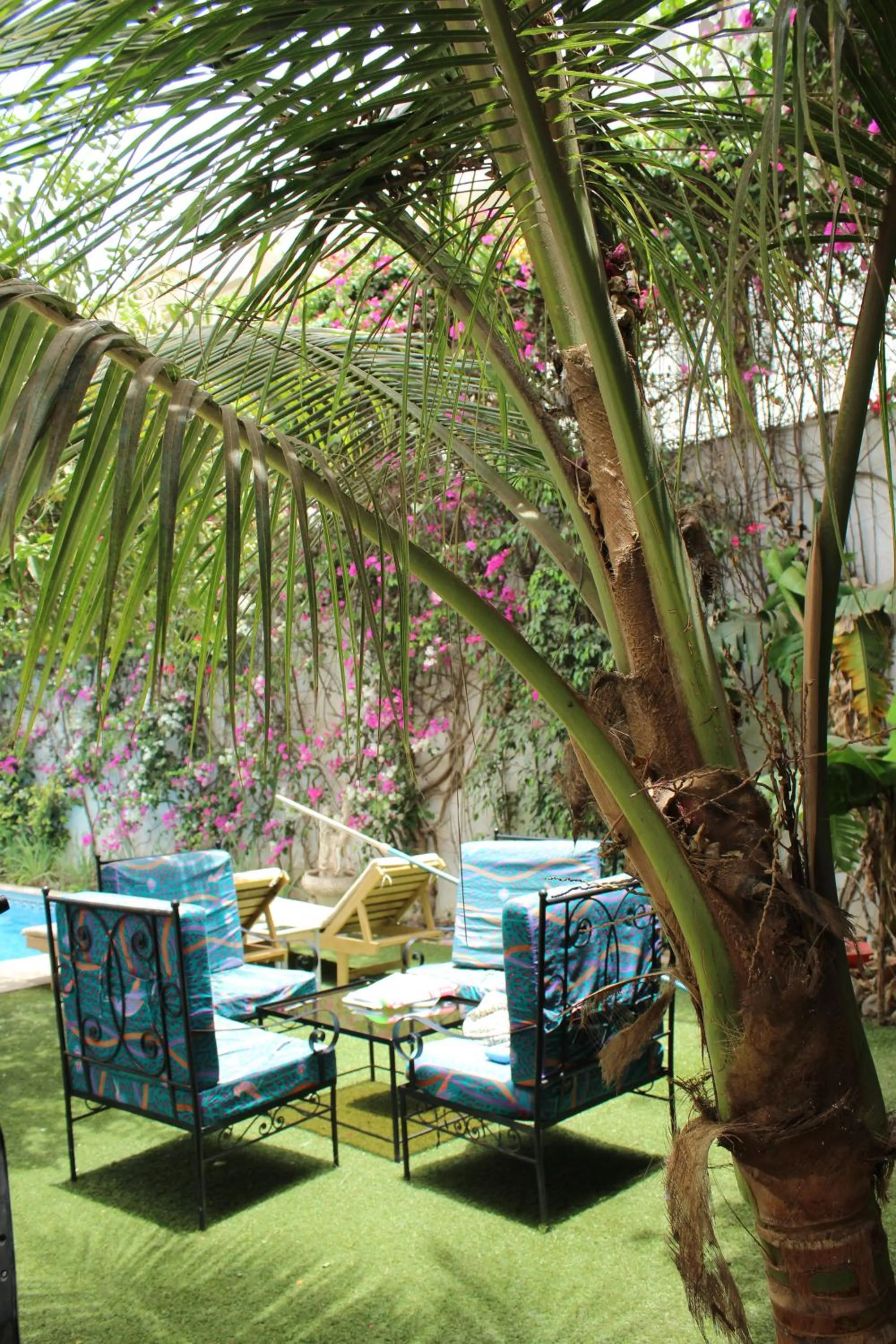 Garden in Casa Mara Dakar