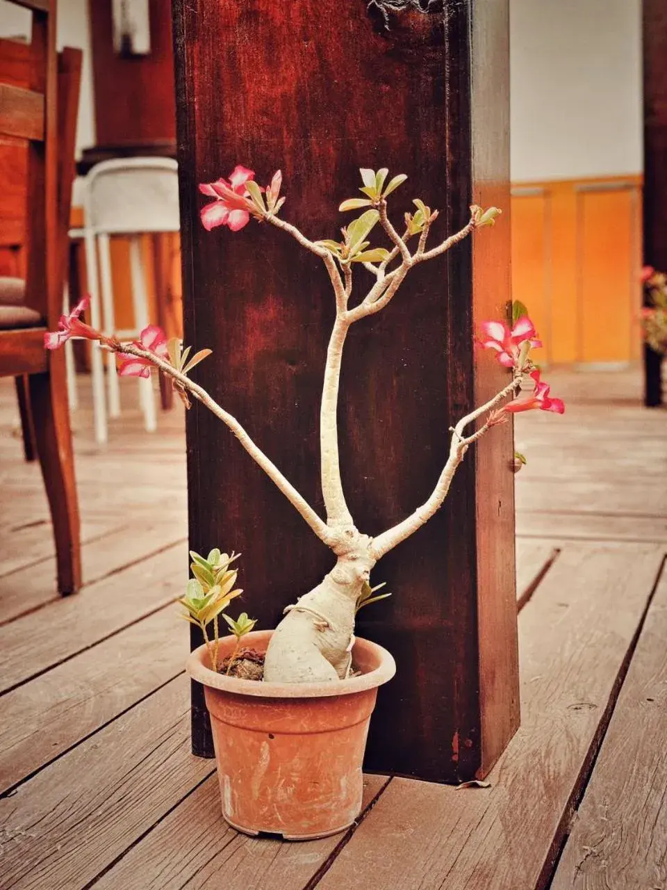 Casa Mara Dakar Casa Mara Dakar