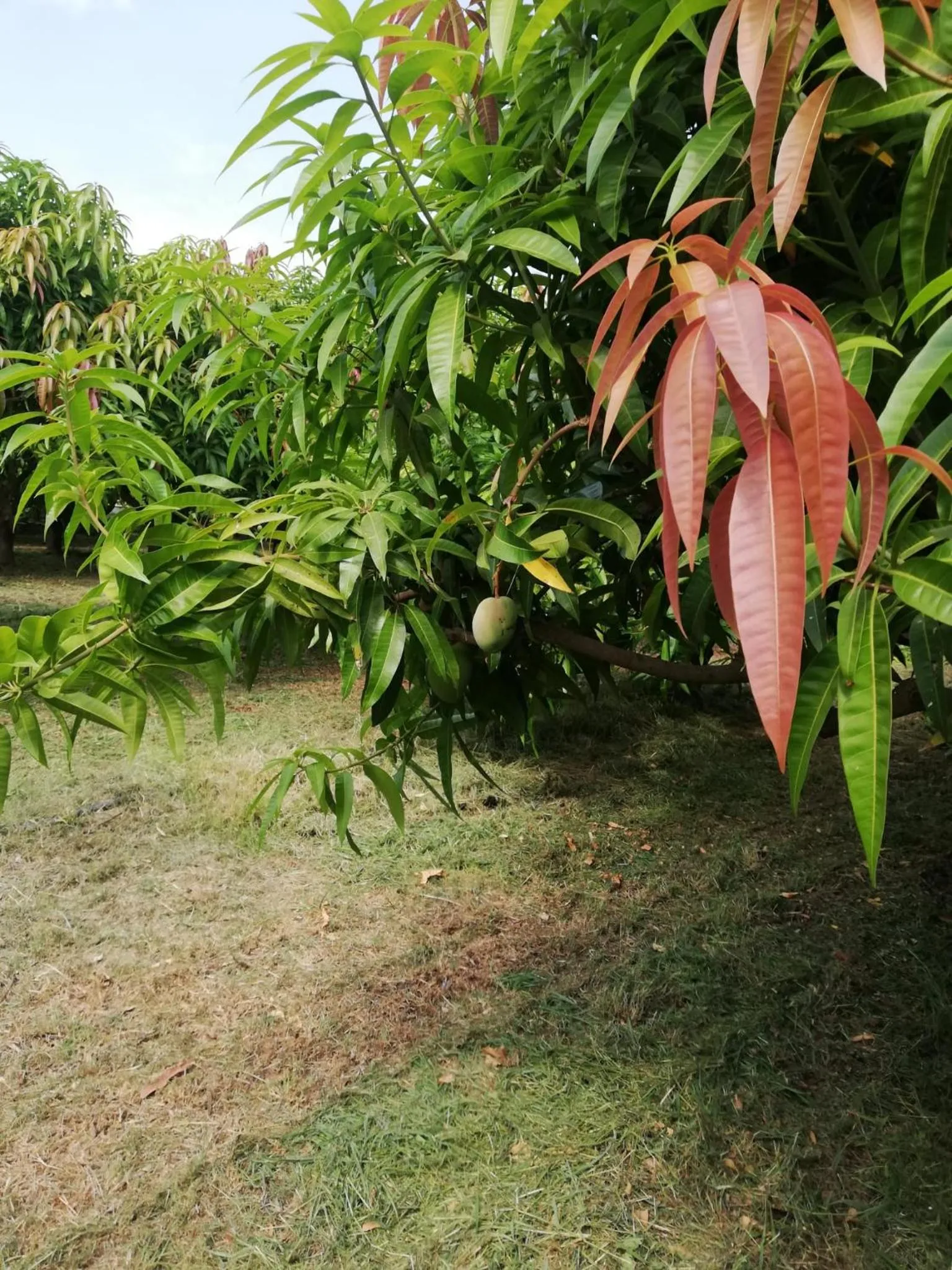 Turismo Rurale Al Benefizio