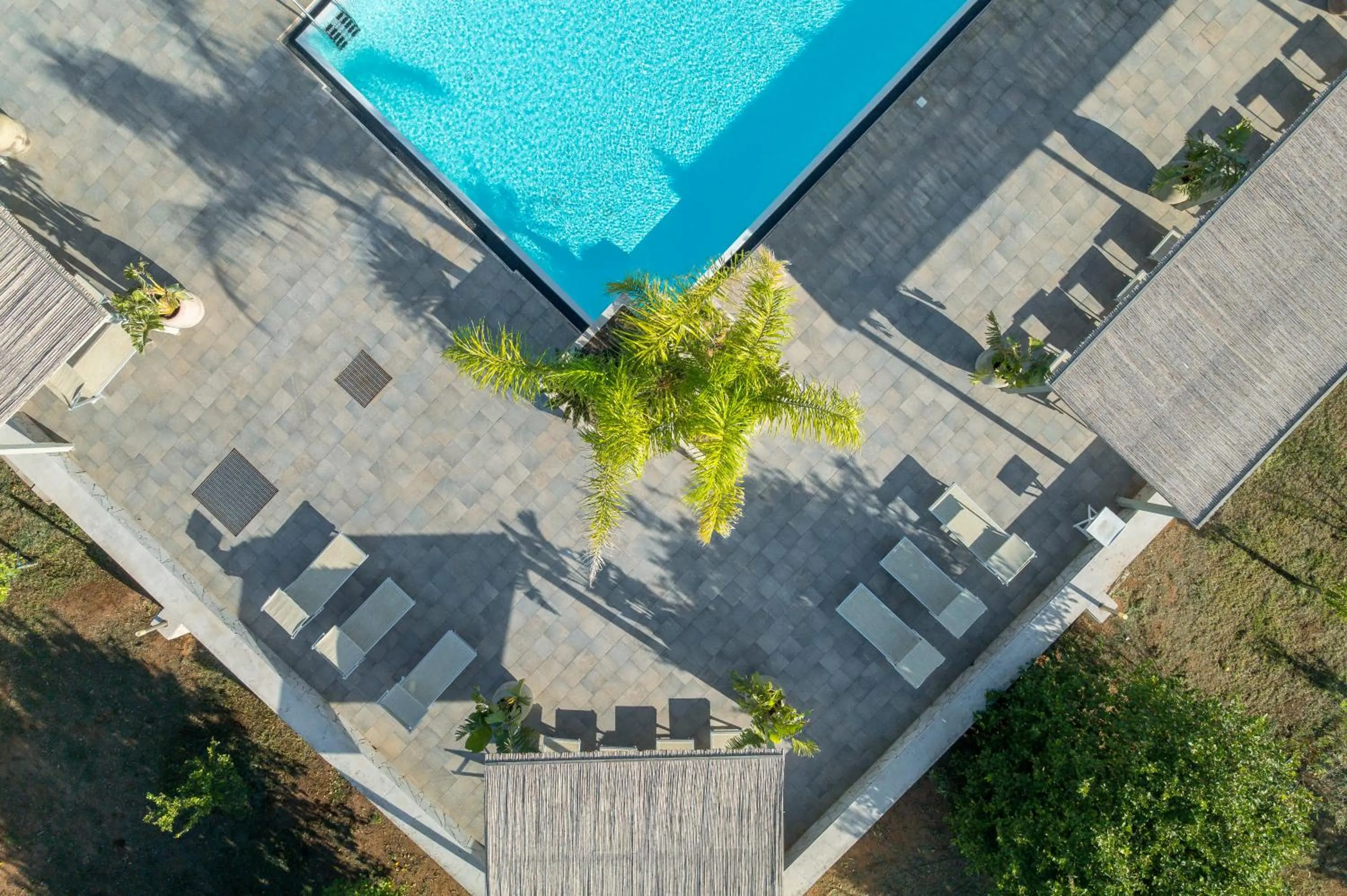 Swimming pool in Terra Dei Limoni