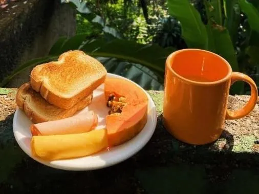 Santa Teresa Junto à Natureza