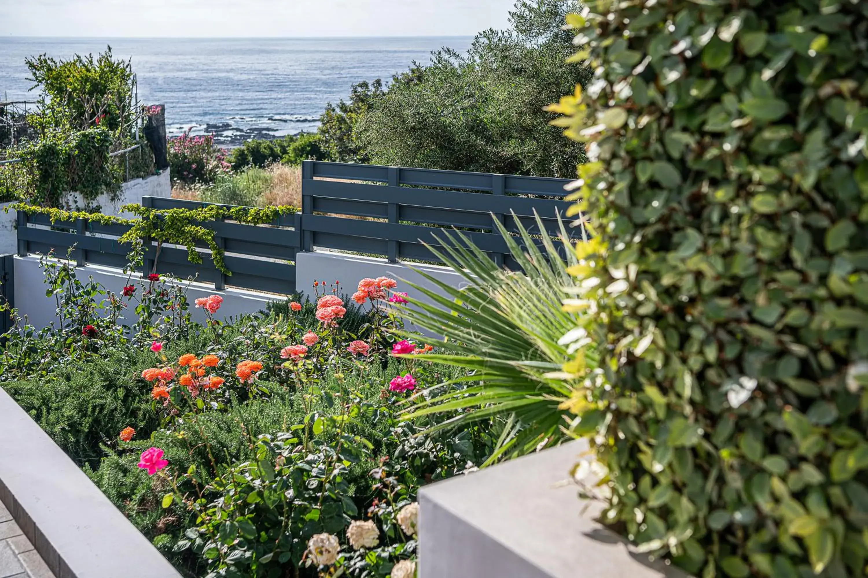 Garden in Sunset Elafonisi Apartments Garden in Sunset Elafonisi Apartments