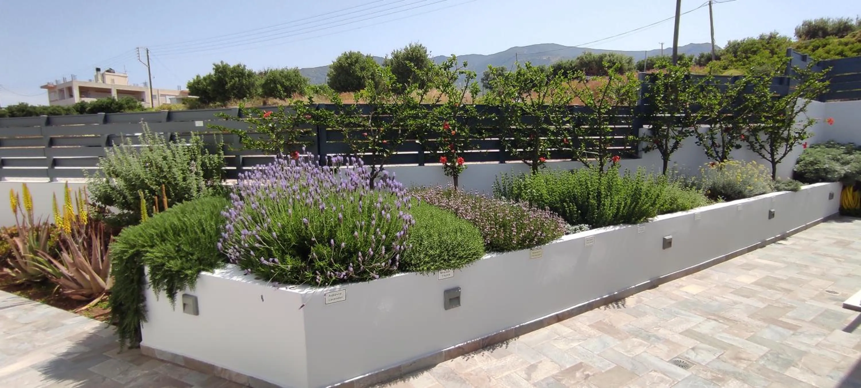 Garden in Sunset Elafonisi Apartments