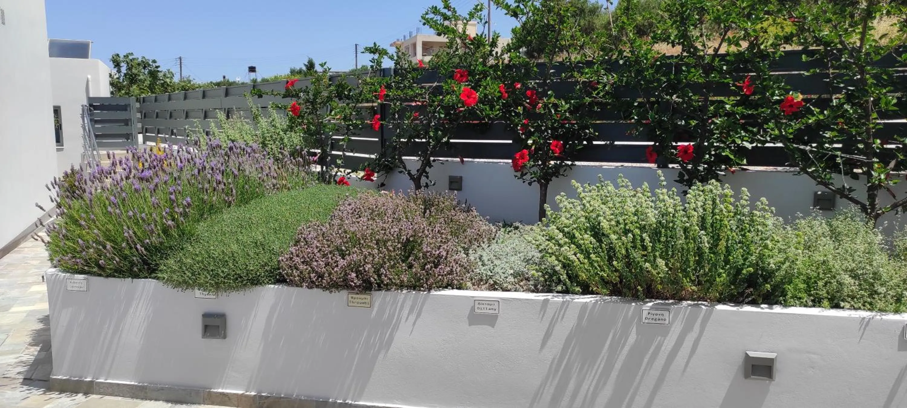 Garden in Sunset Elafonisi Apartments