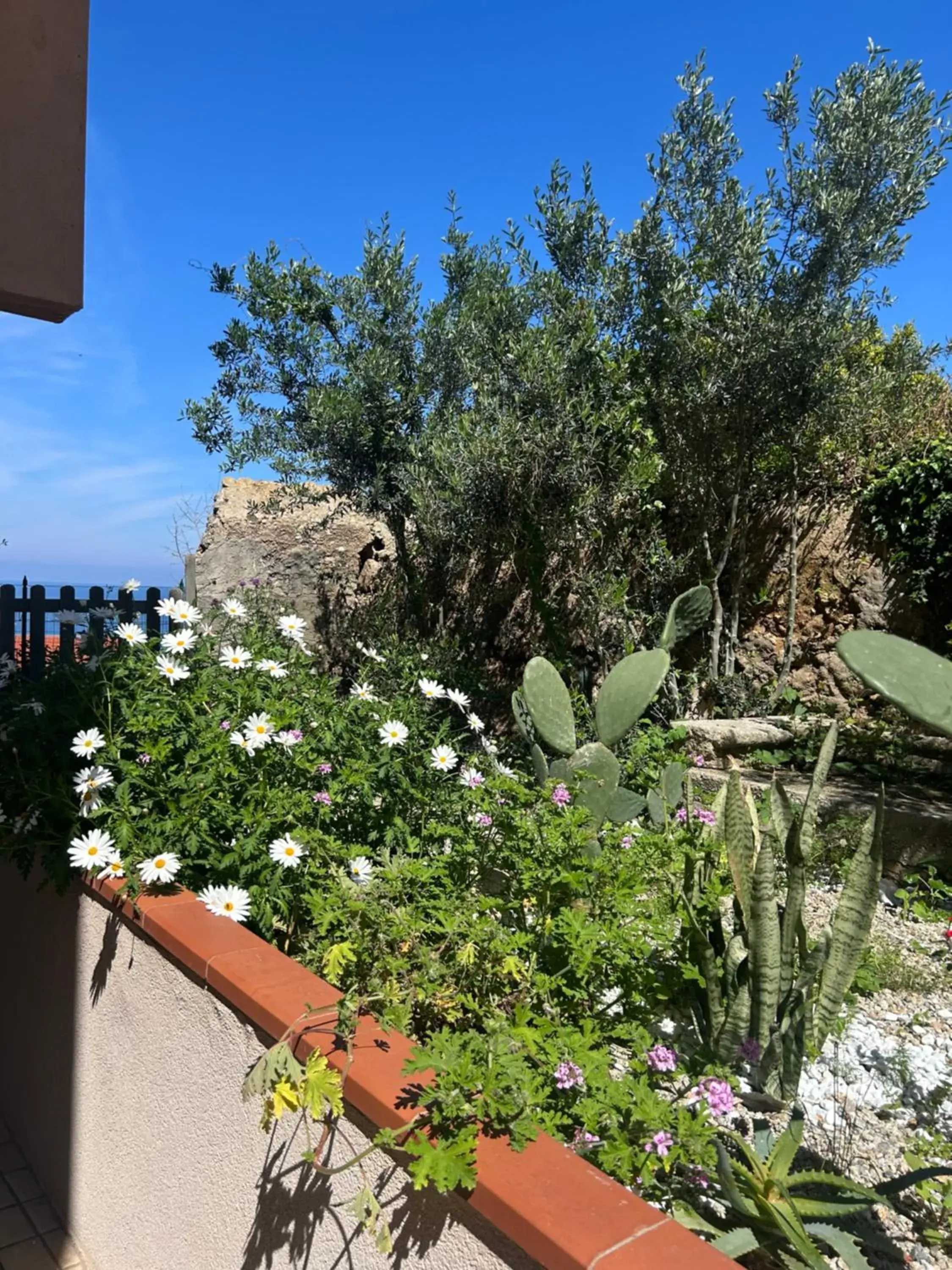 Garden view in Arcobaleno Tropea centro Garden view in Arcobaleno Tropea centro
