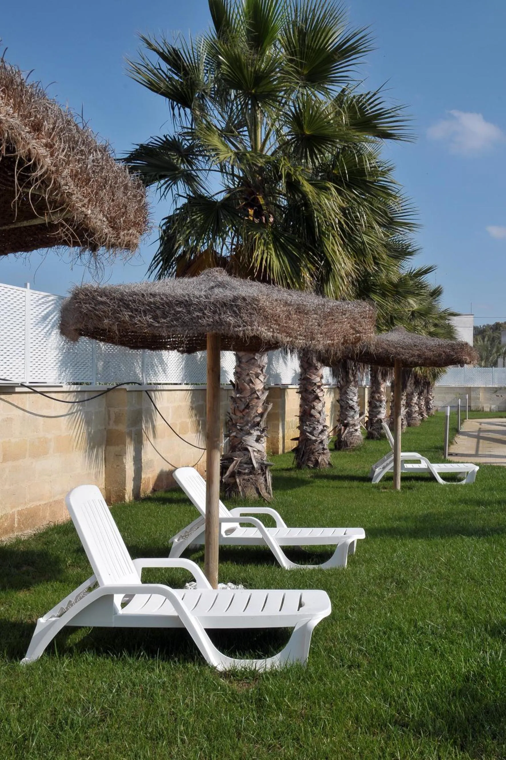 Garden in Sant Isidoro suite