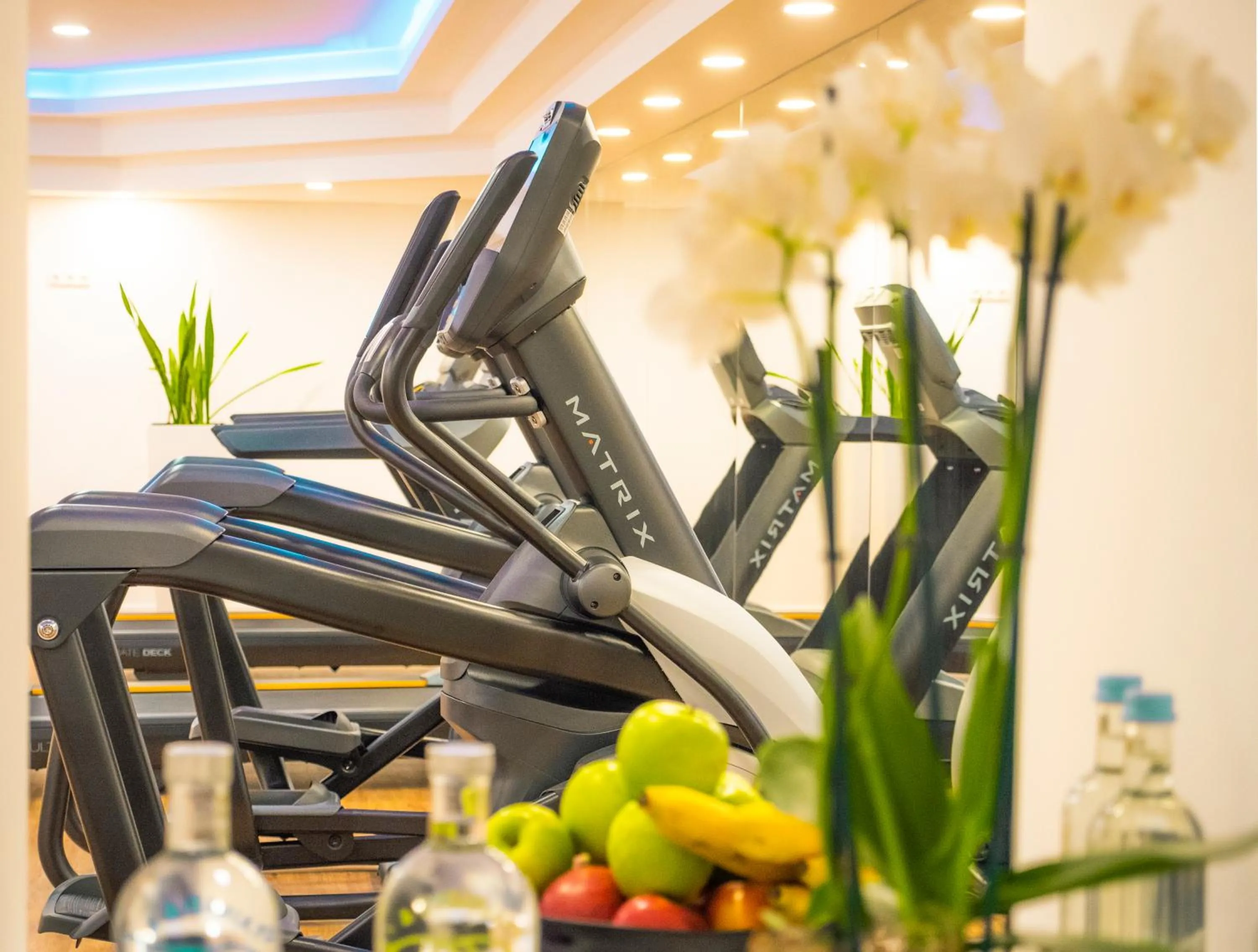 Fitness centre/facilities in Steigenberger Hotel Köln