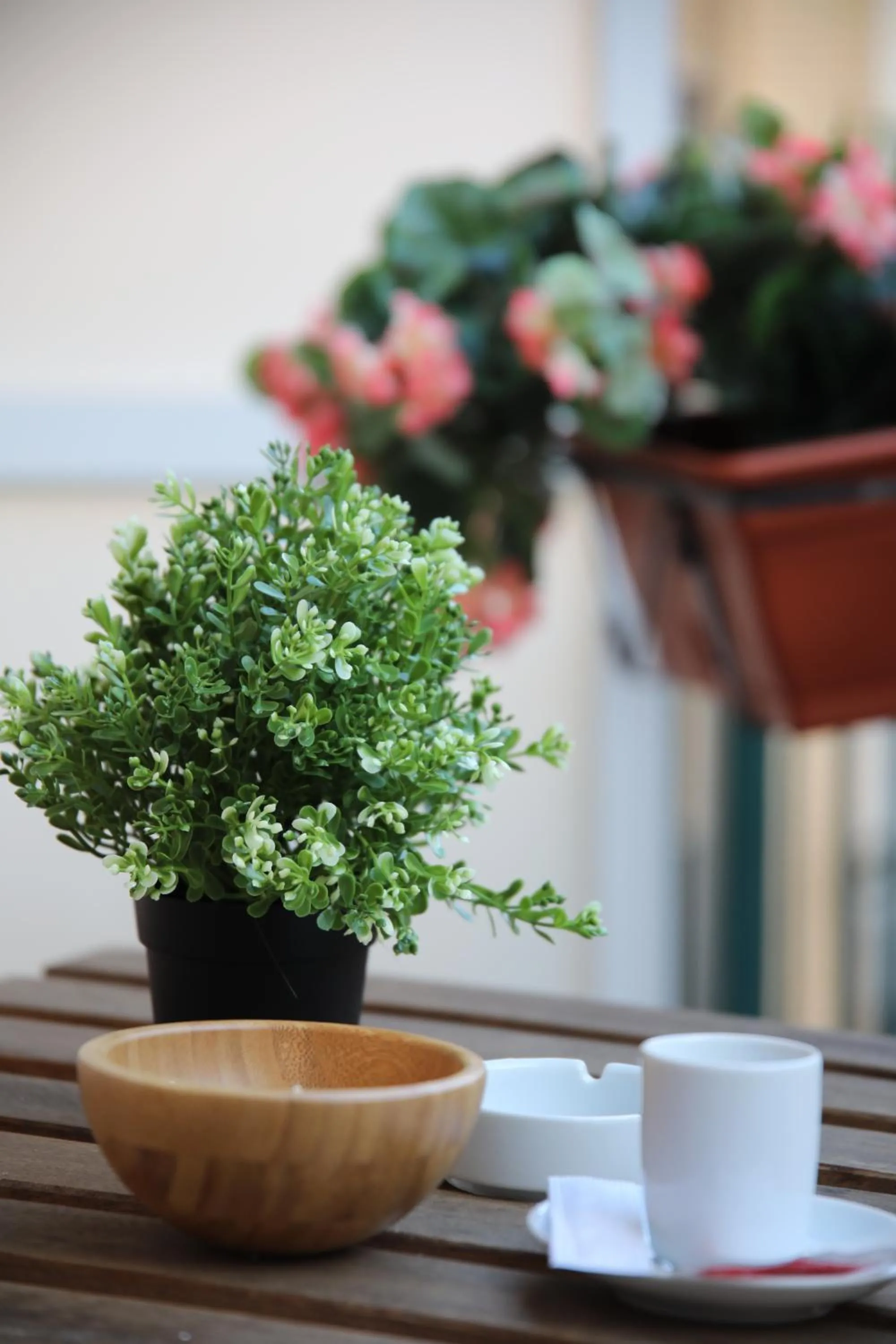Balcony/Terrace in Laetitia guest house116