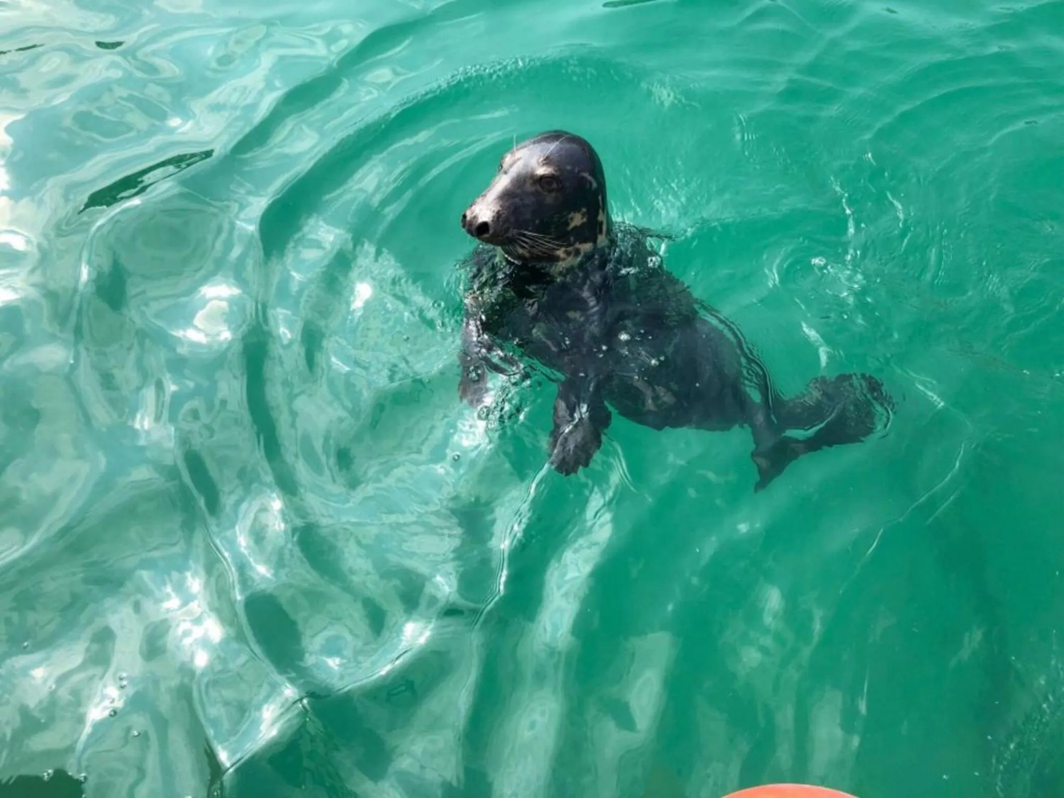 Location in Cottage Barn, Jacobstow