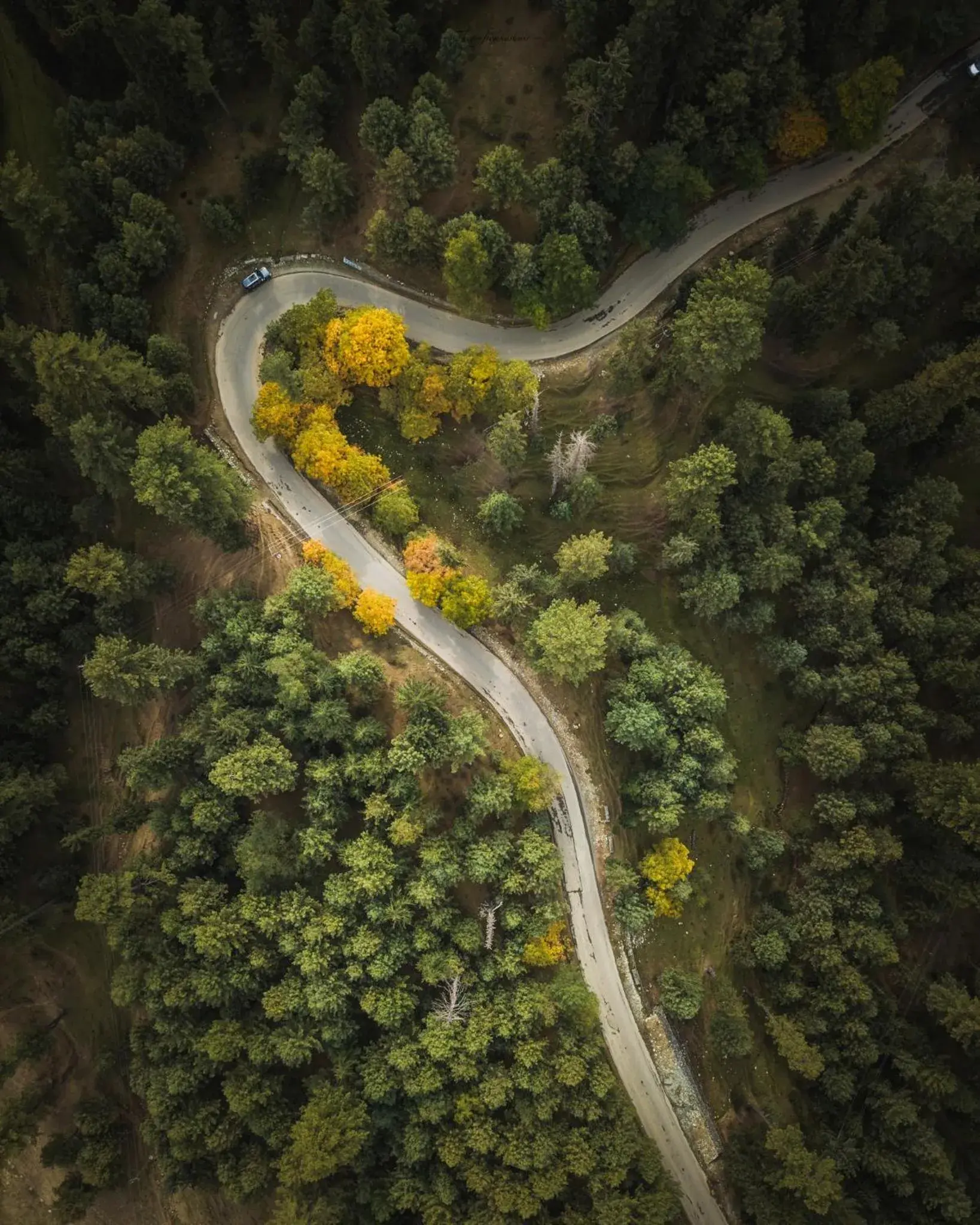 Bird's eye view in WelcomHeritage Gurkha Houseboats Bird's eye view in WelcomHeritage Gurkha Houseboats