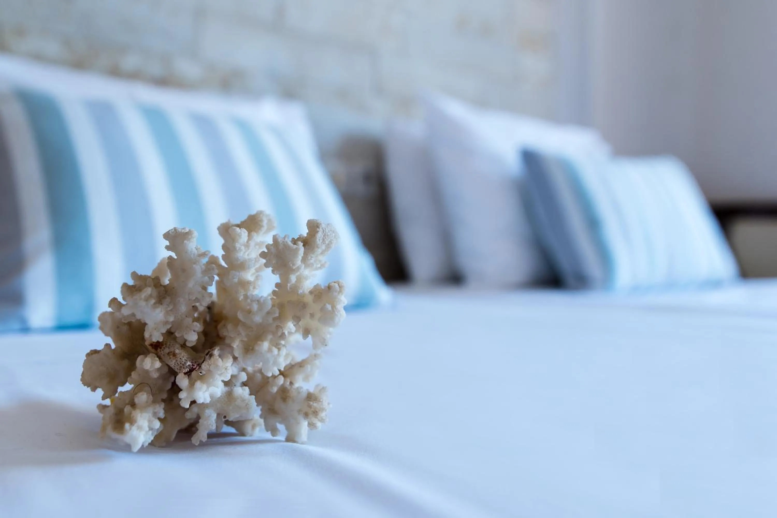 Bed in Ilios 1 Central