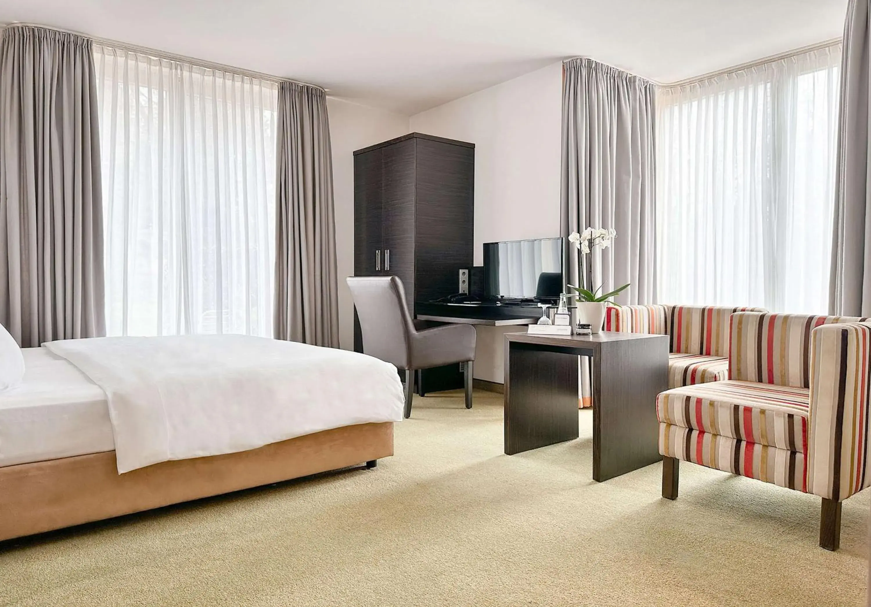 Standard Room - Annex Building in Radisson Blu Park Hotel & Conference Centre Standard Room - Annex Building in Radisson Blu Park Hotel & Conference Centre