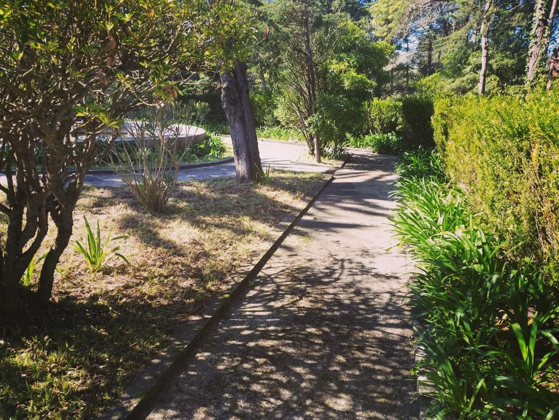 Garden in Villa Aedan Sintra