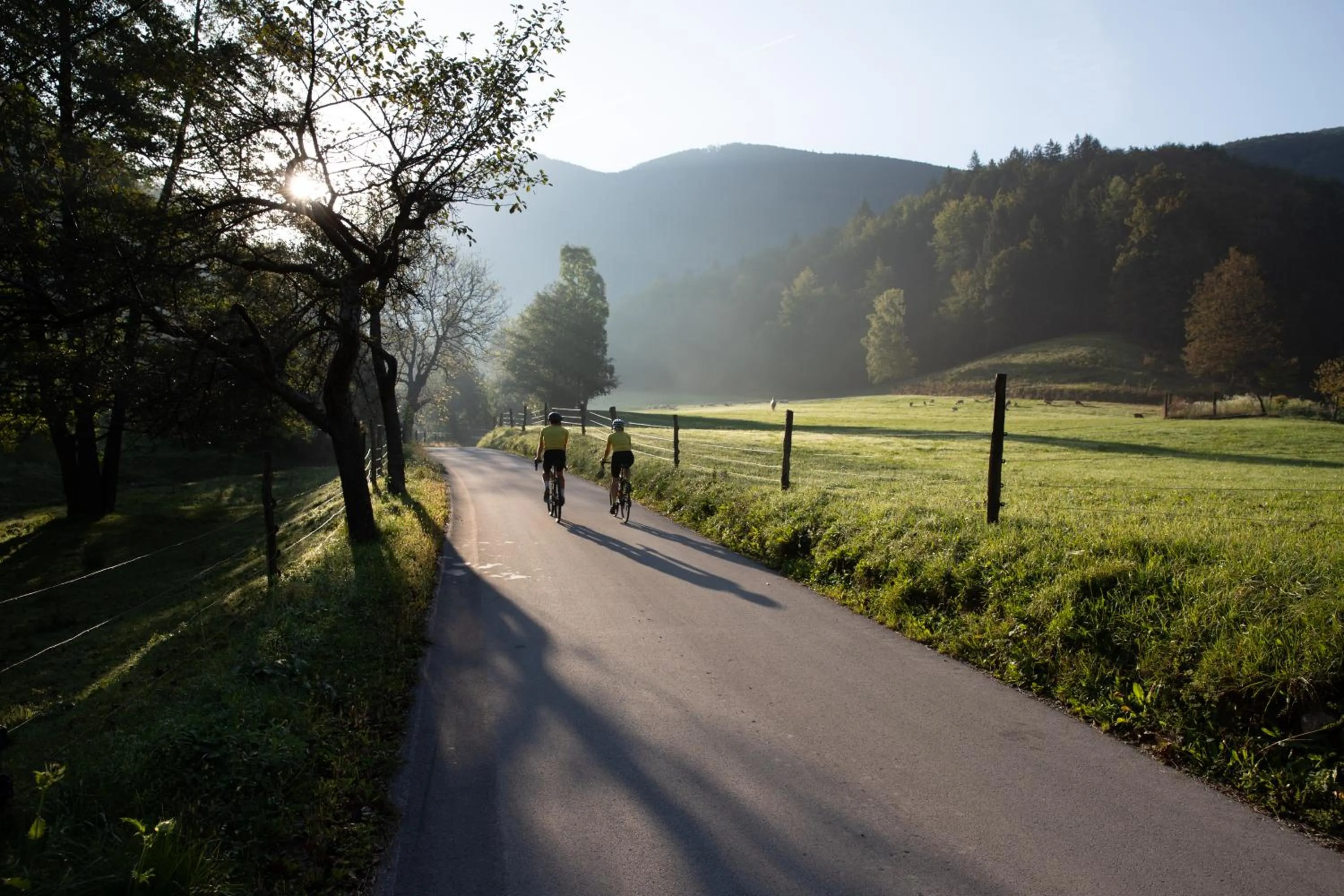 Cycling in Hotel Grof
