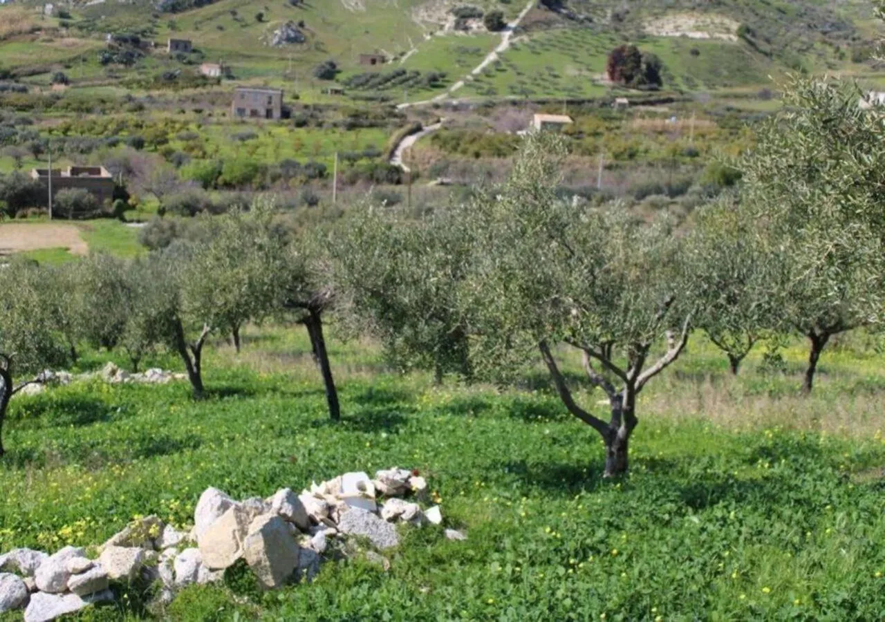Bird's eye view in La Corte di Sofia