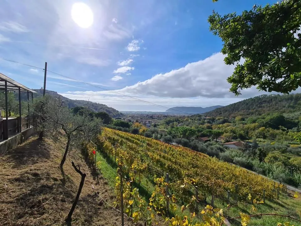 Agriturismo La Carreccia