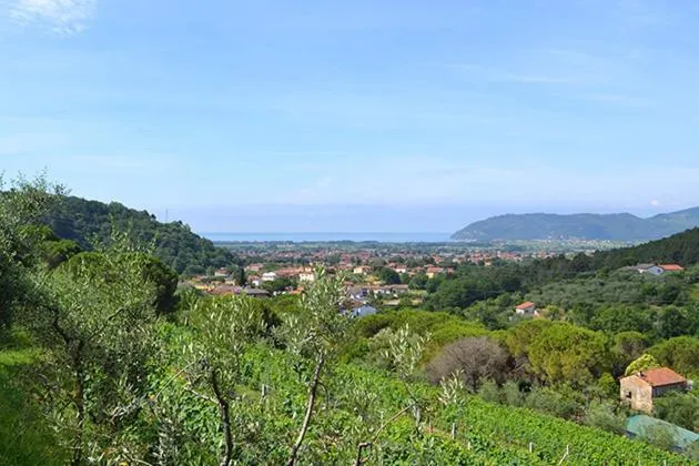 Agriturismo La Carreccia